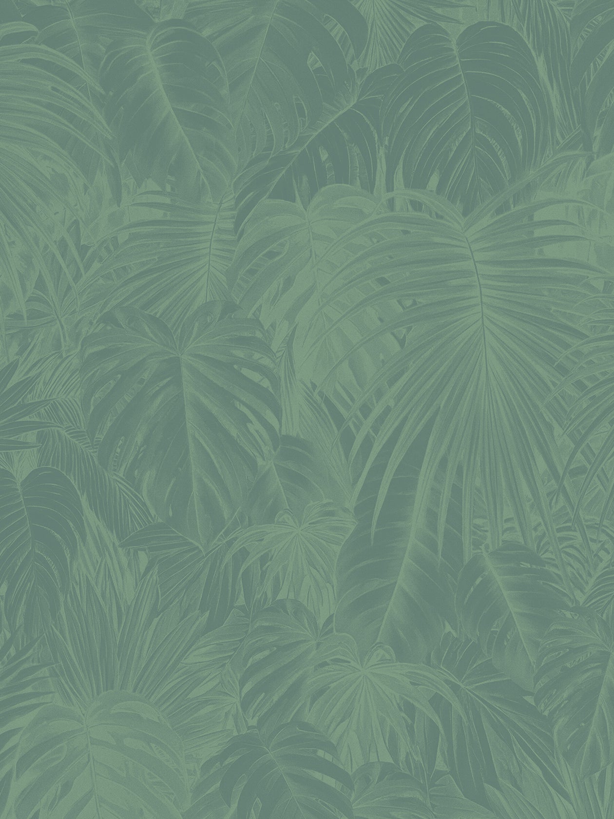 bagno tropical