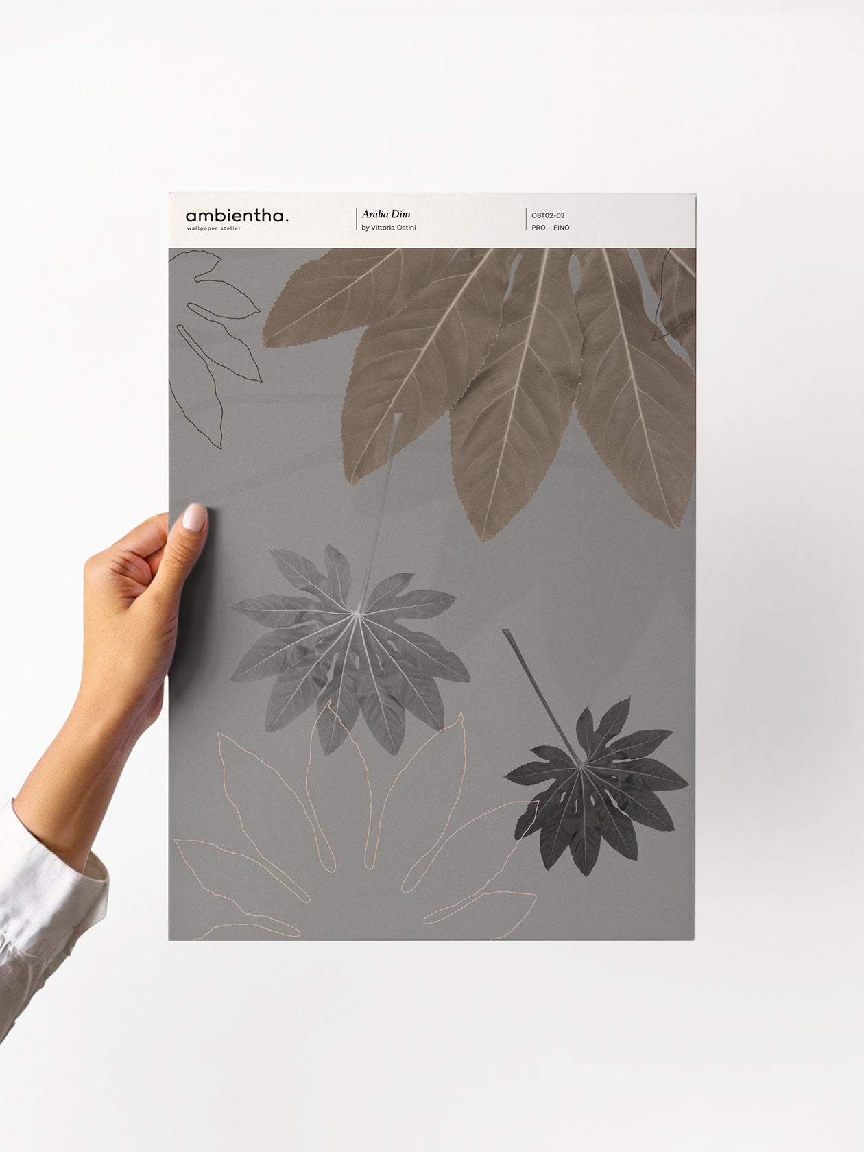 Aralia Dim Sample