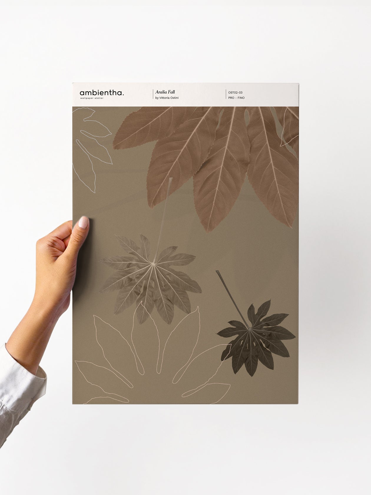 Aralia Fall Sample