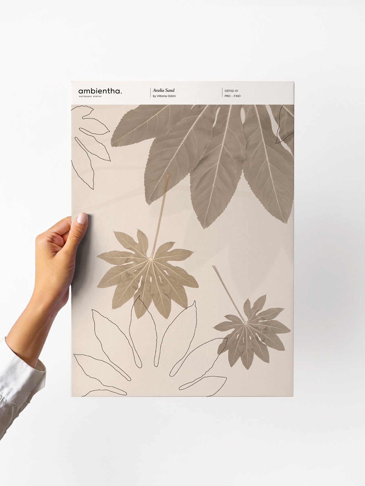 Aralia Sand Sample
