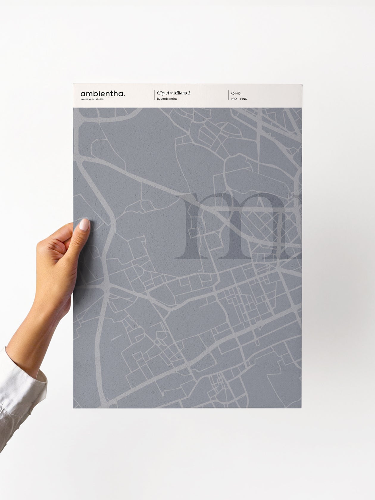 Campione CityArt Milano 3