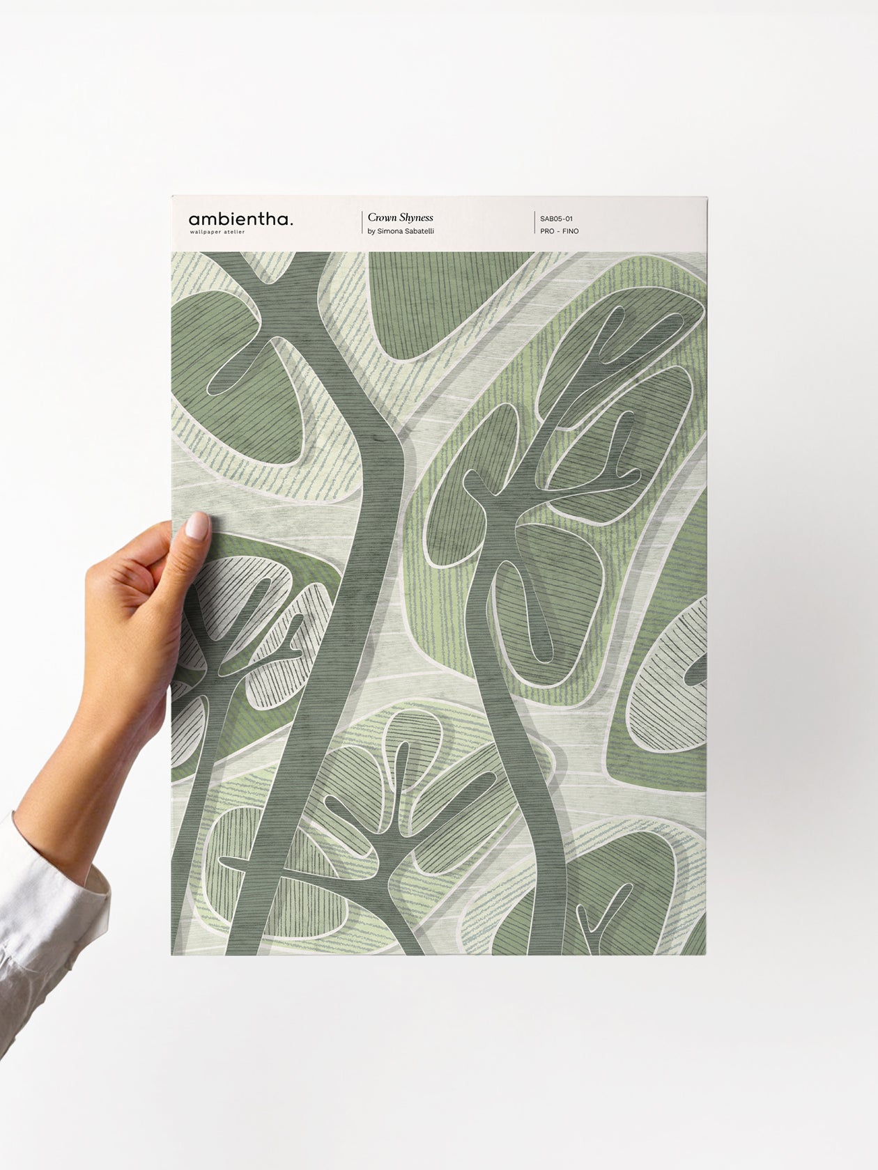 Crown Shyness Sample