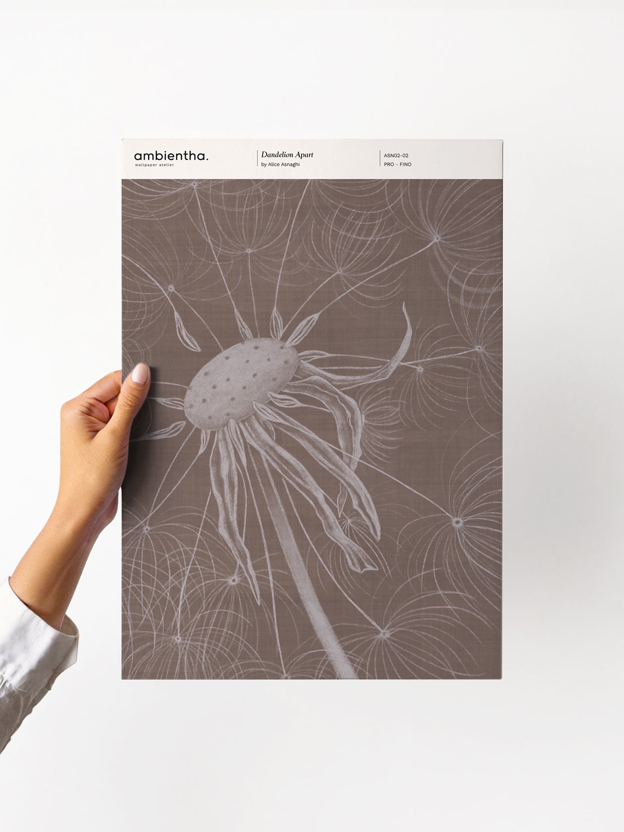 Dandelion Apart Sample