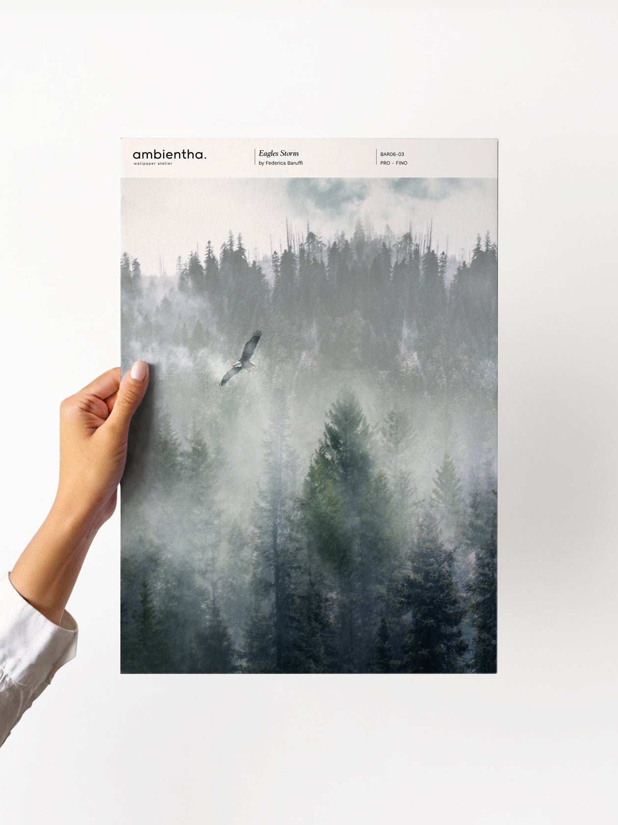 Eagles Storm Sample