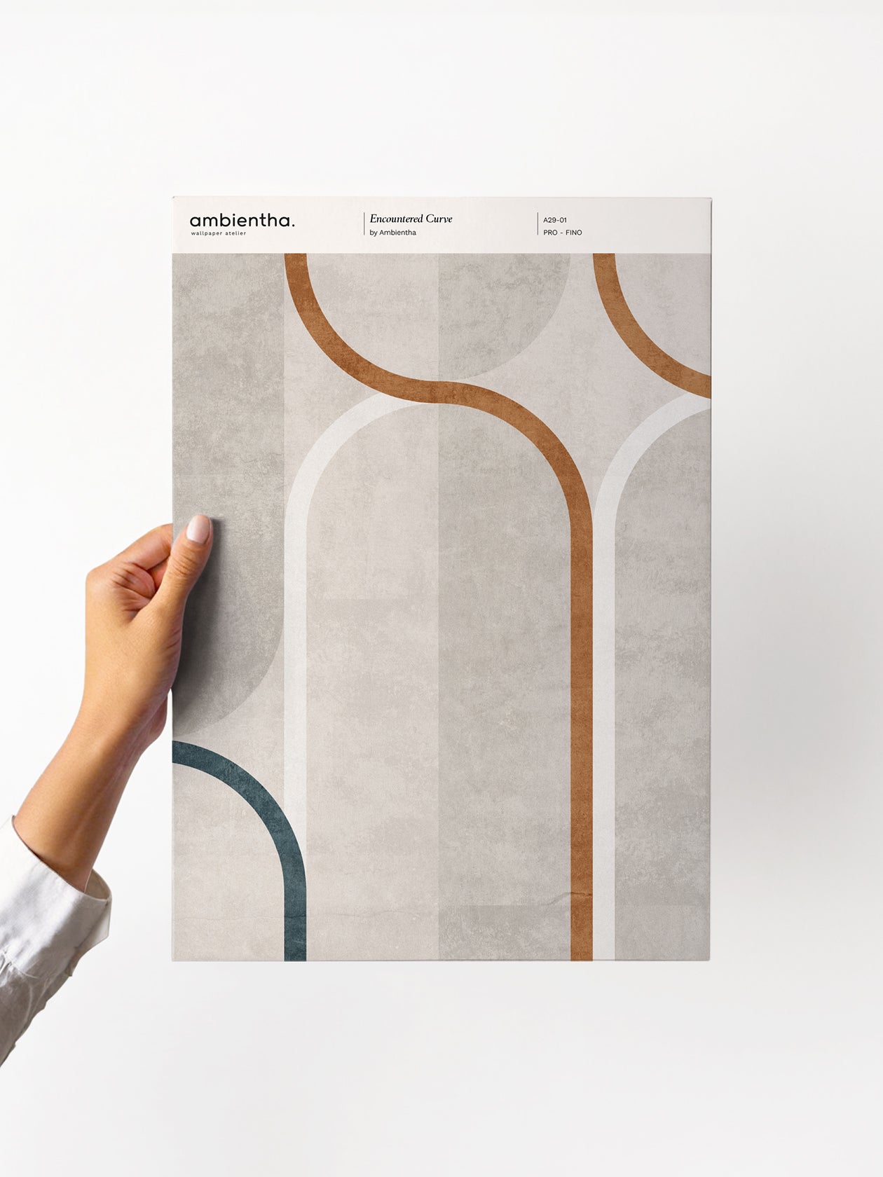Campione Encountered Curve