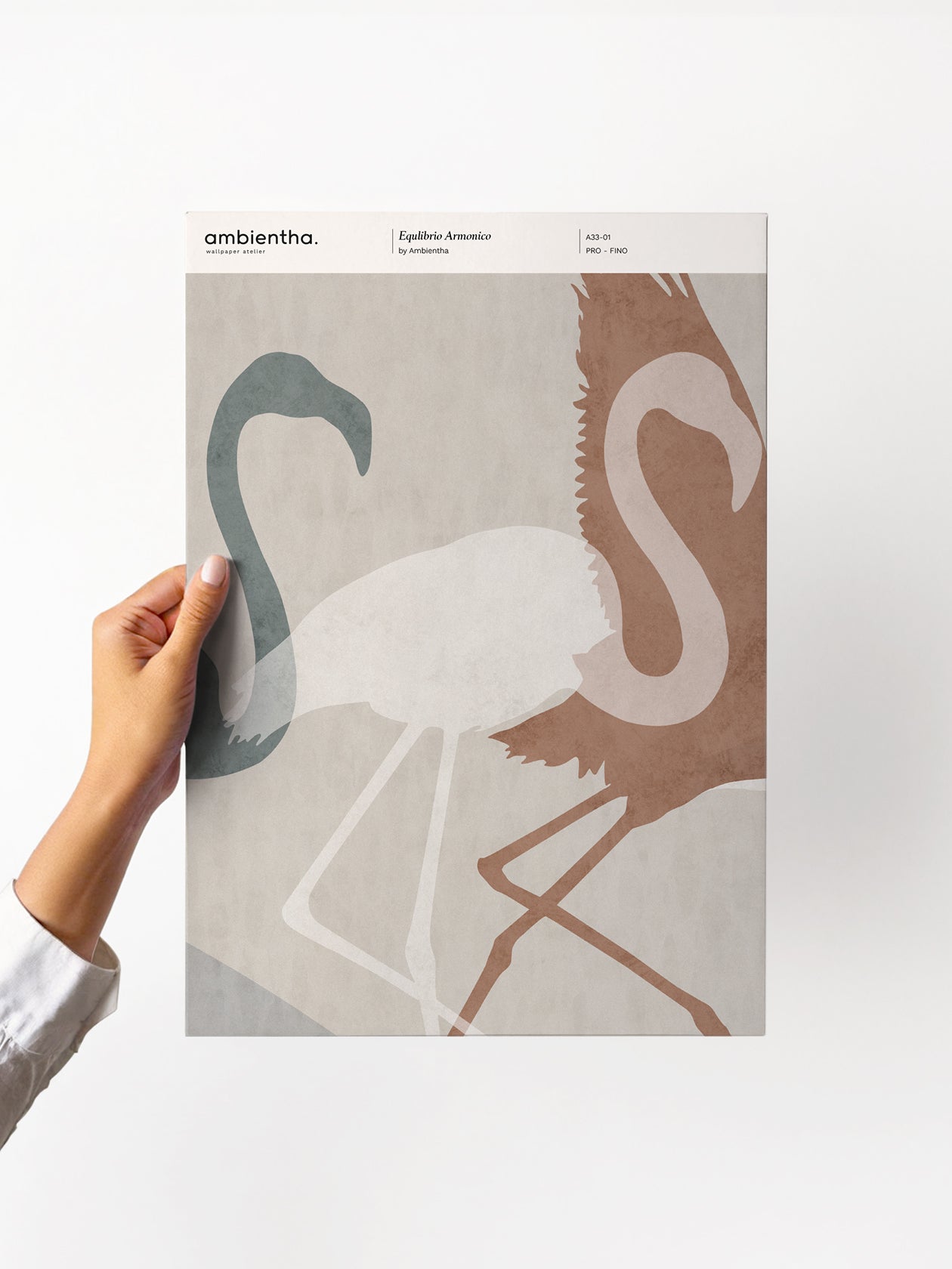 Equilibrio Armonico Sample