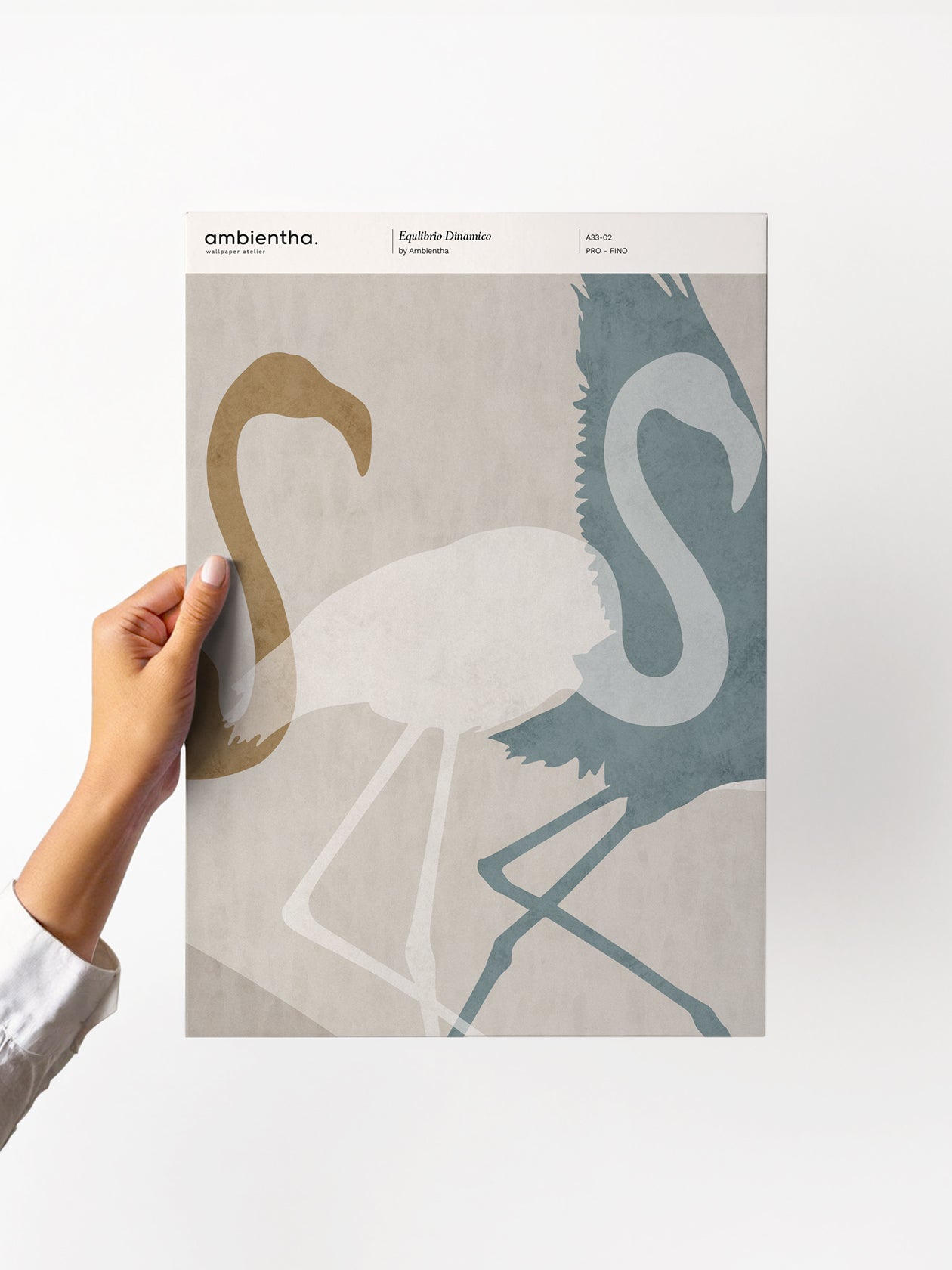 Equilibrio Dinamico Sample