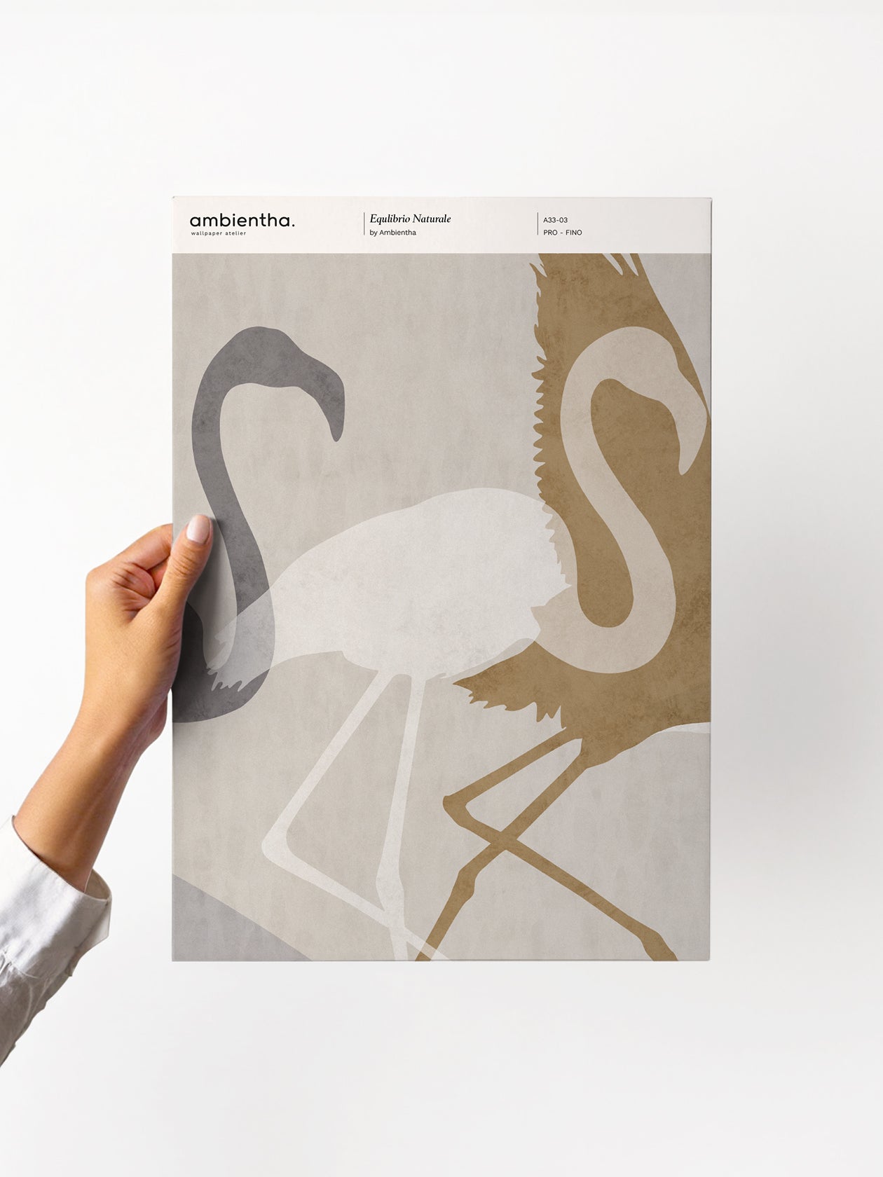 Equilibrio Naturale Sample