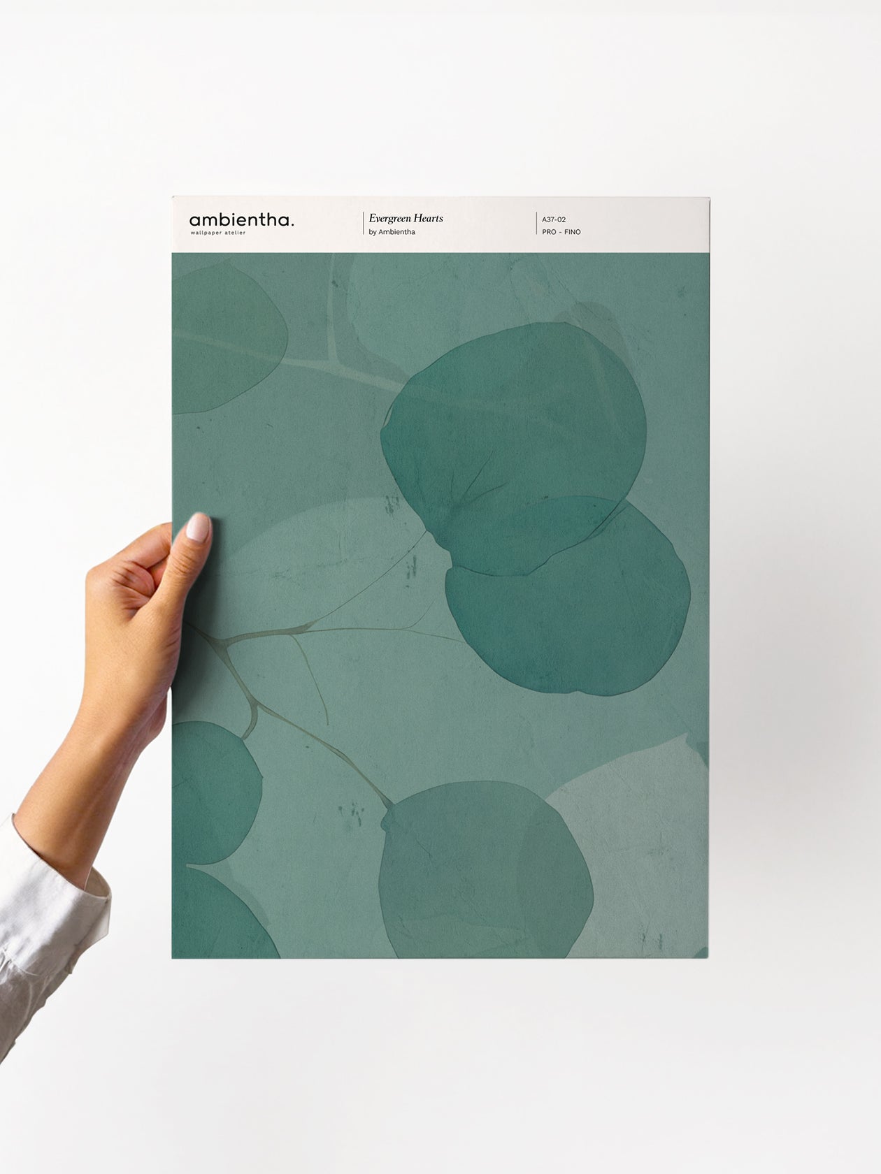 Evergreen Hearts Sample