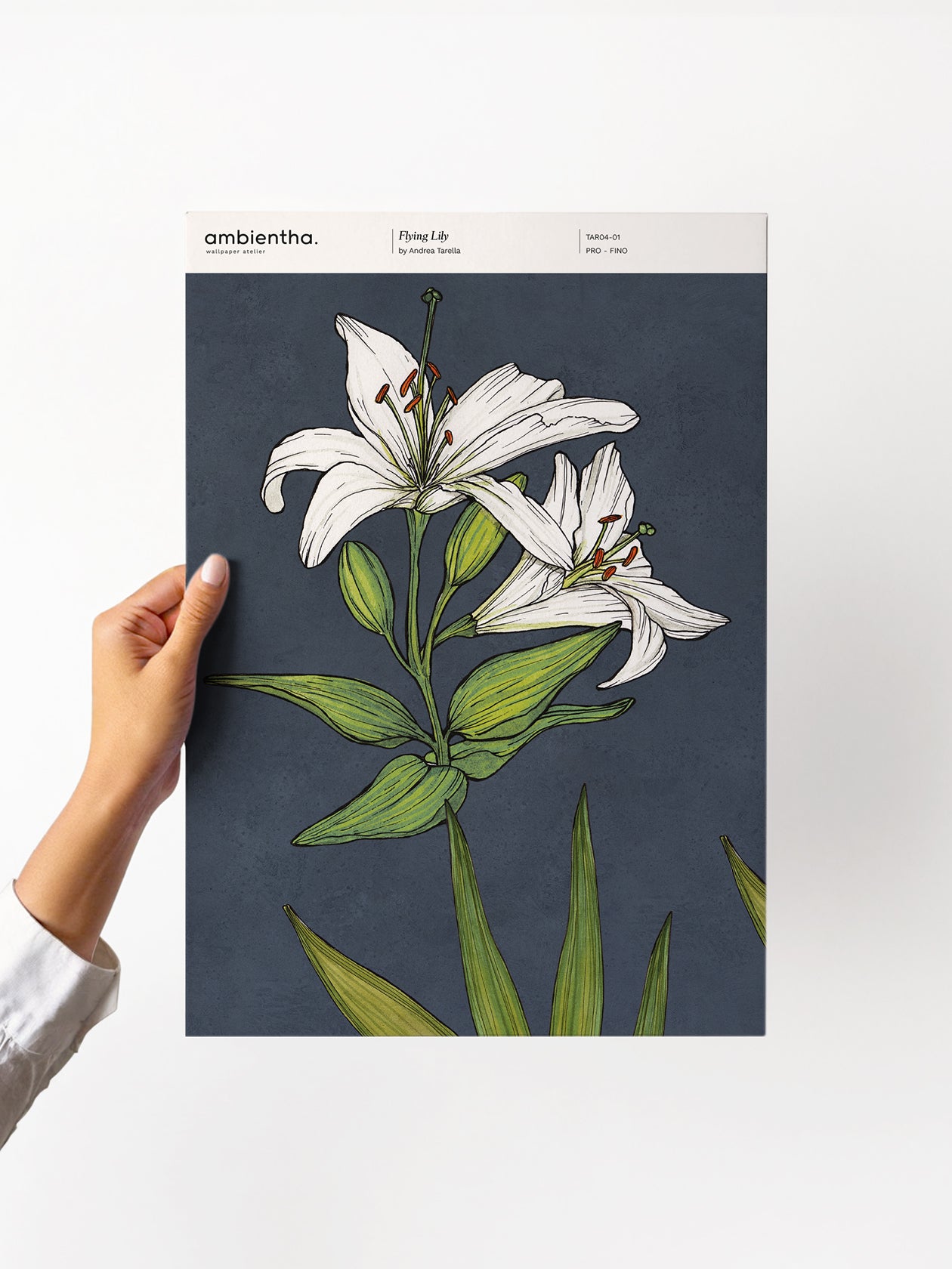 Flying Lily Sample