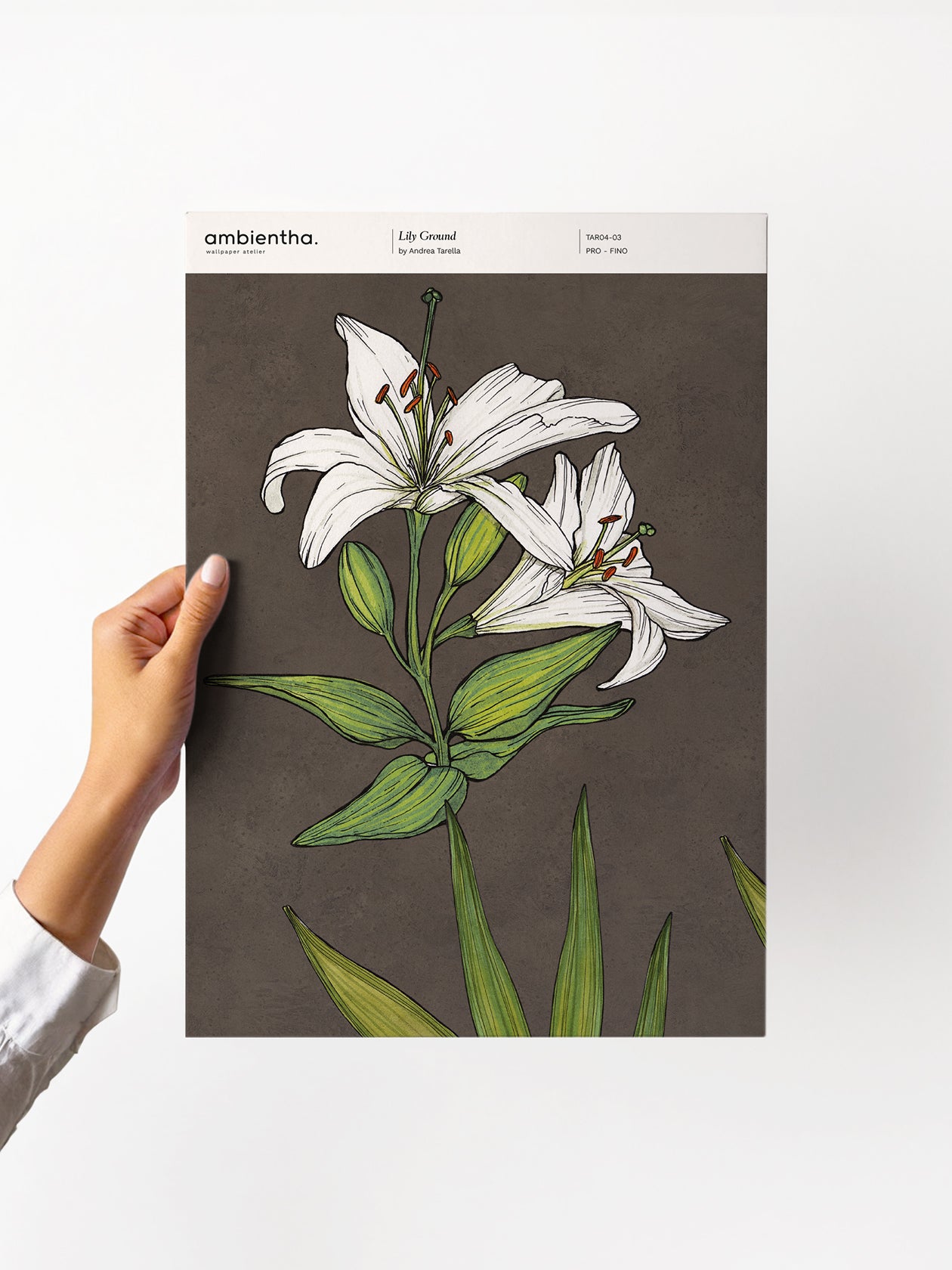 Lily Ground Sample