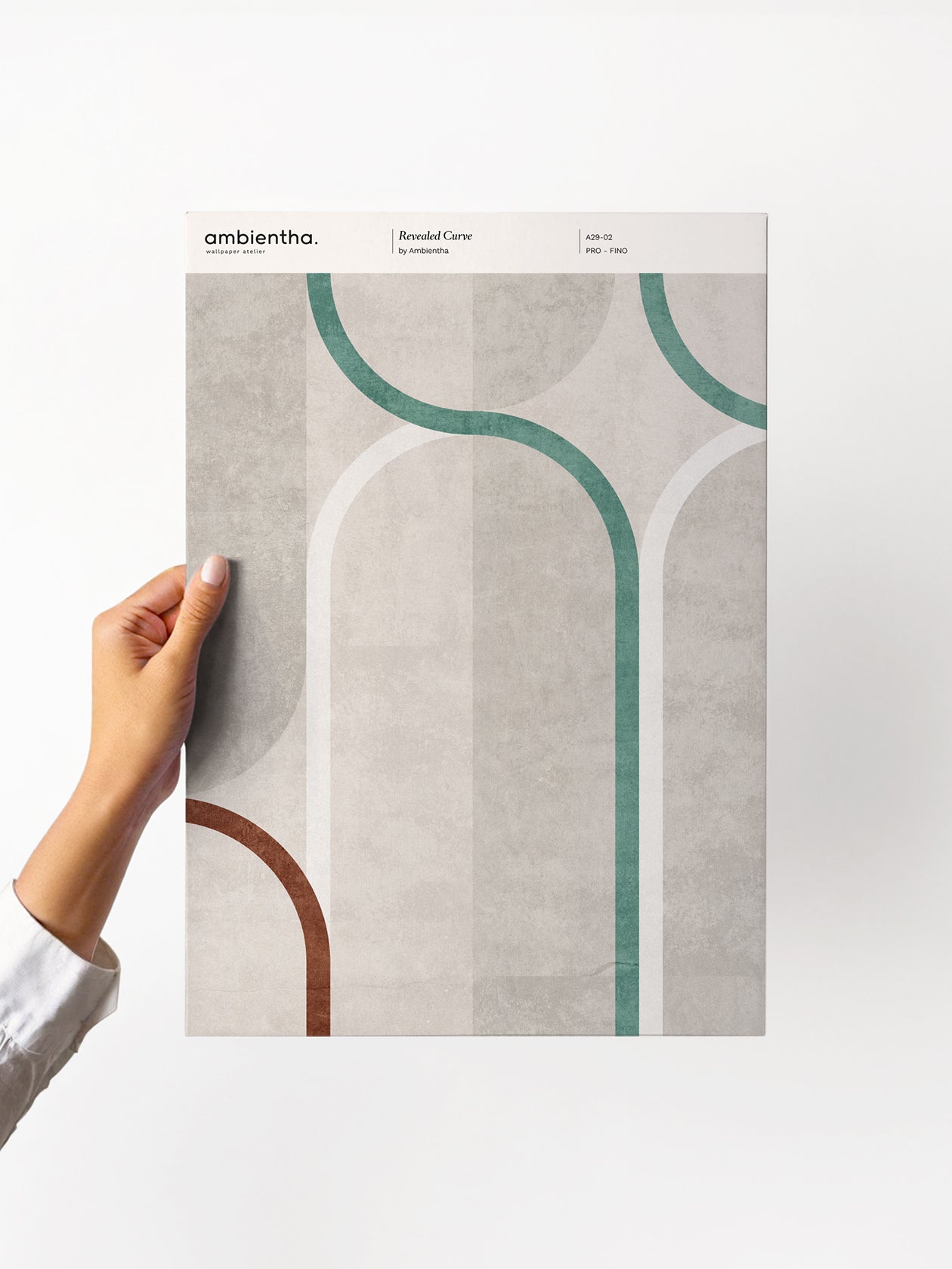 Campione Revealed Curve