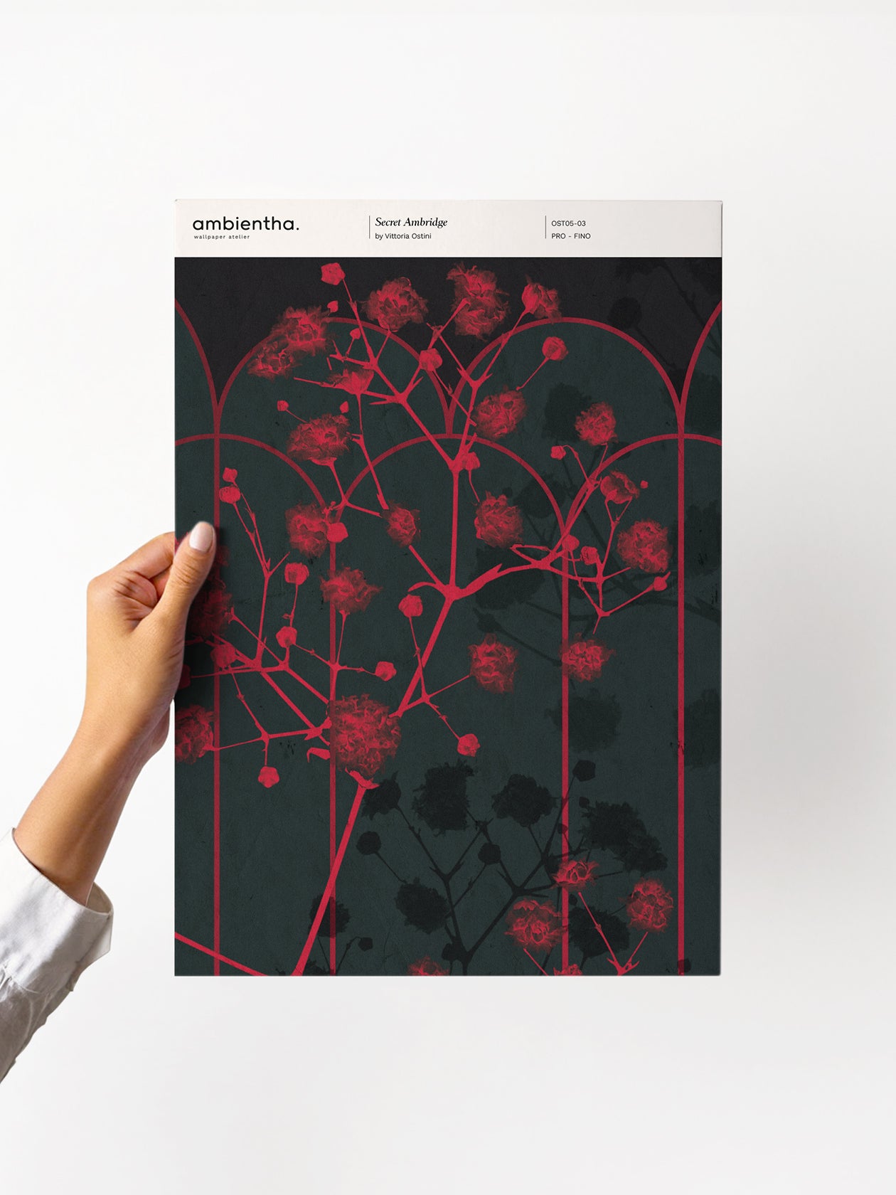 Campione Secret Ambridge