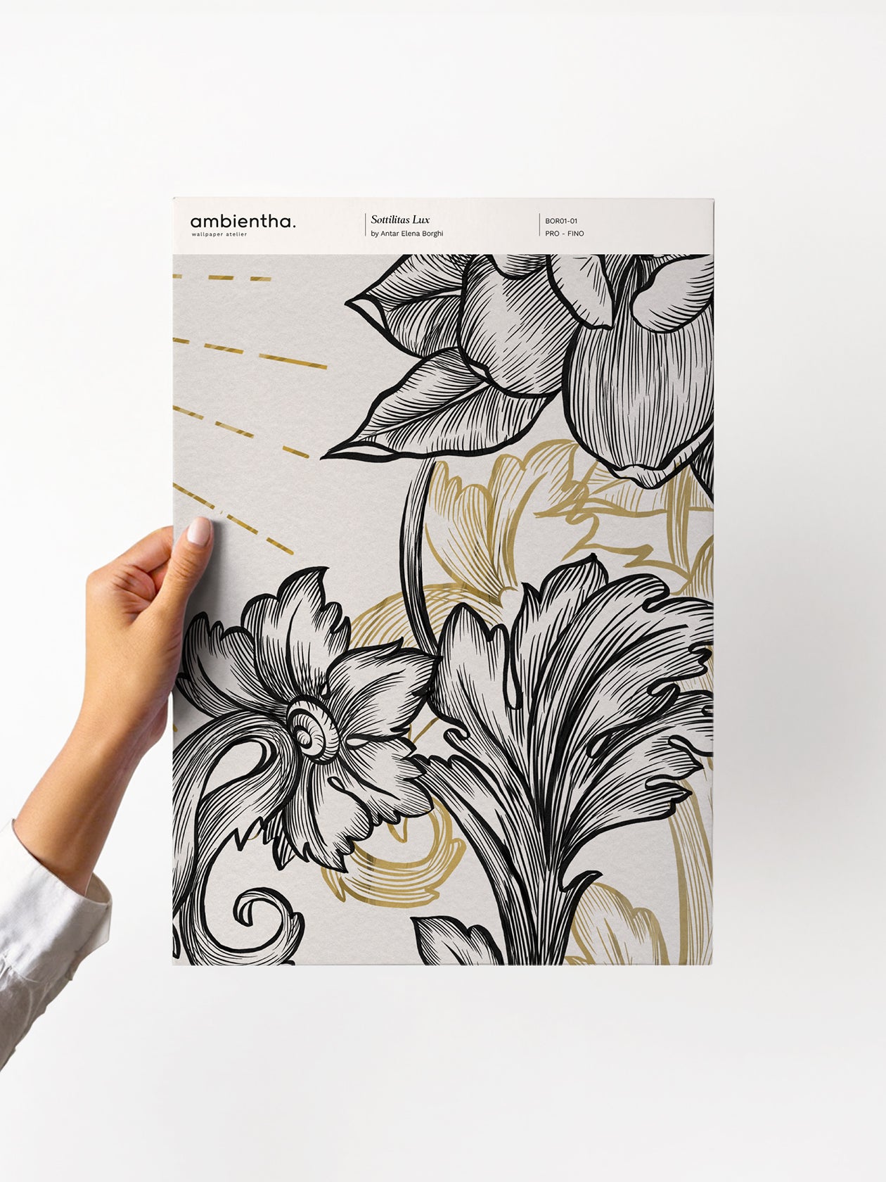 Campione Sottilitas Lux