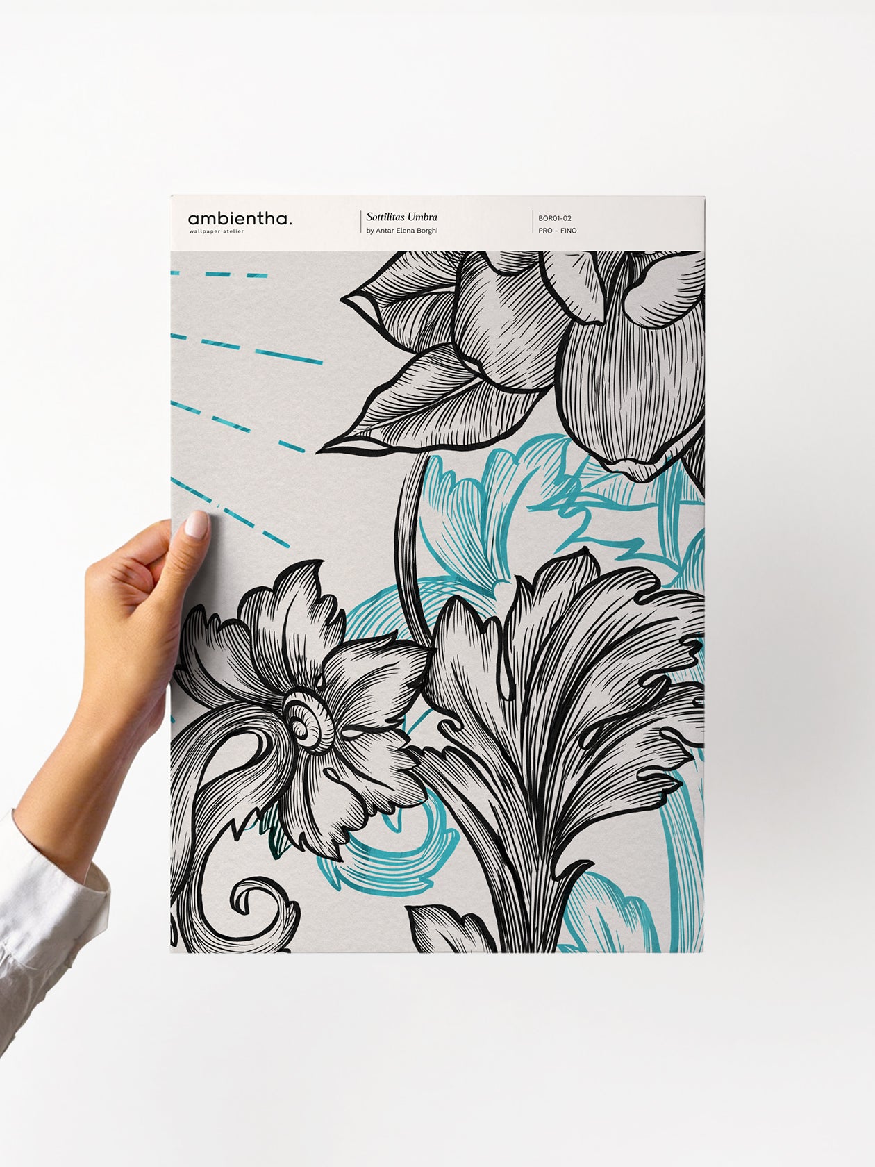 Campione Sottilitas Umbra