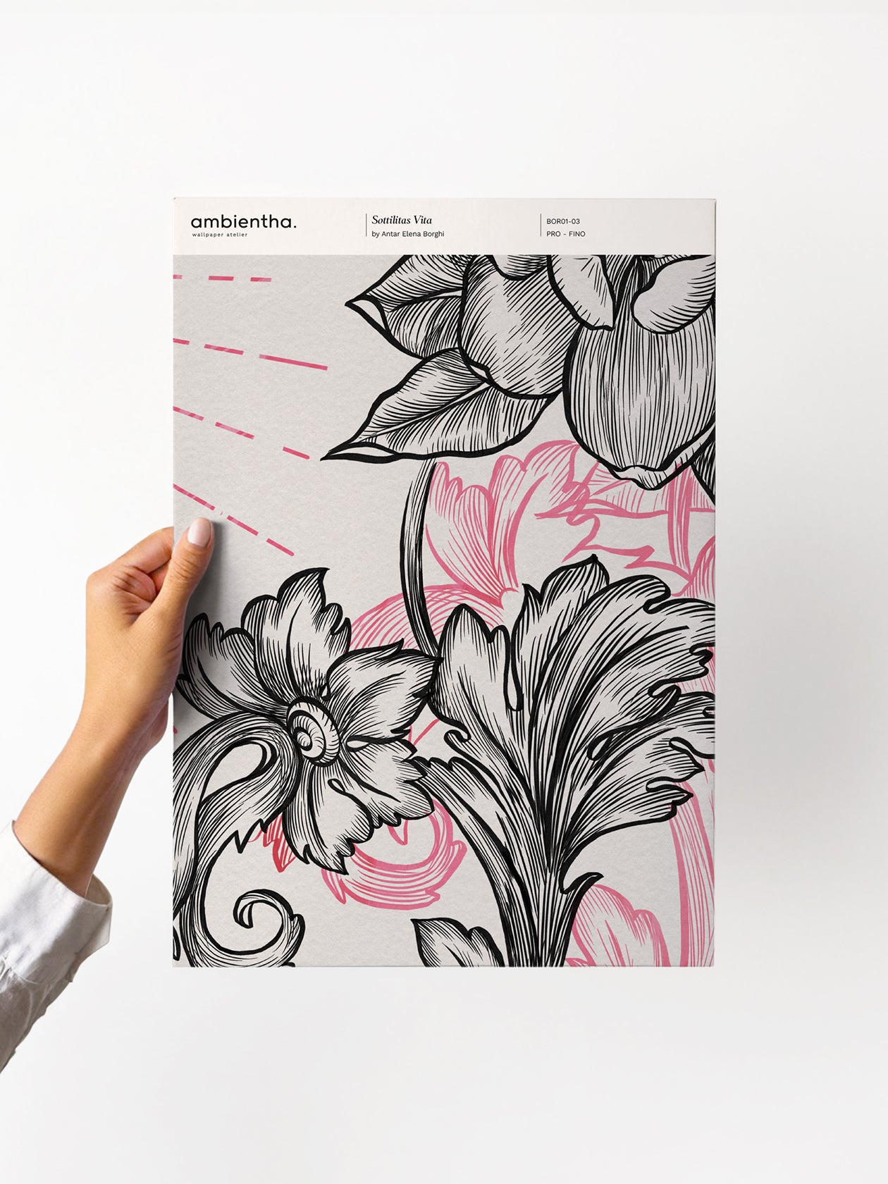 Campione Sottilitas Vita