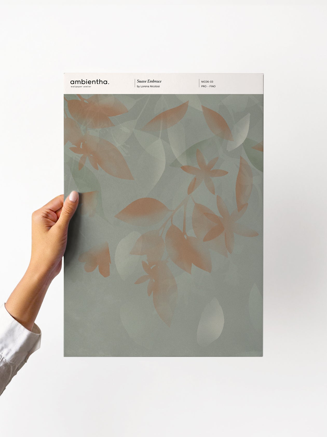 Campione Suave Embrace