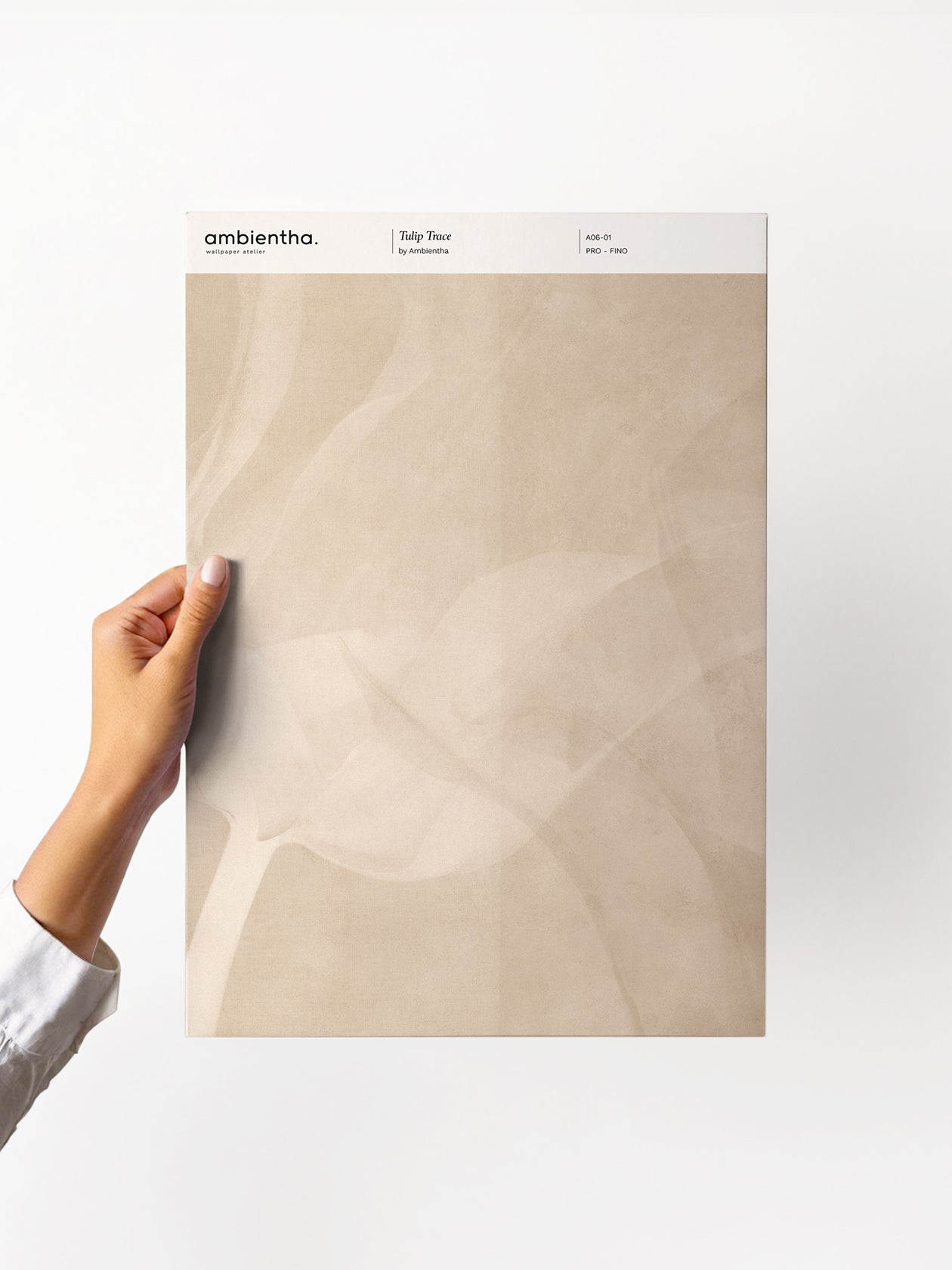 Campione Tulip Trace