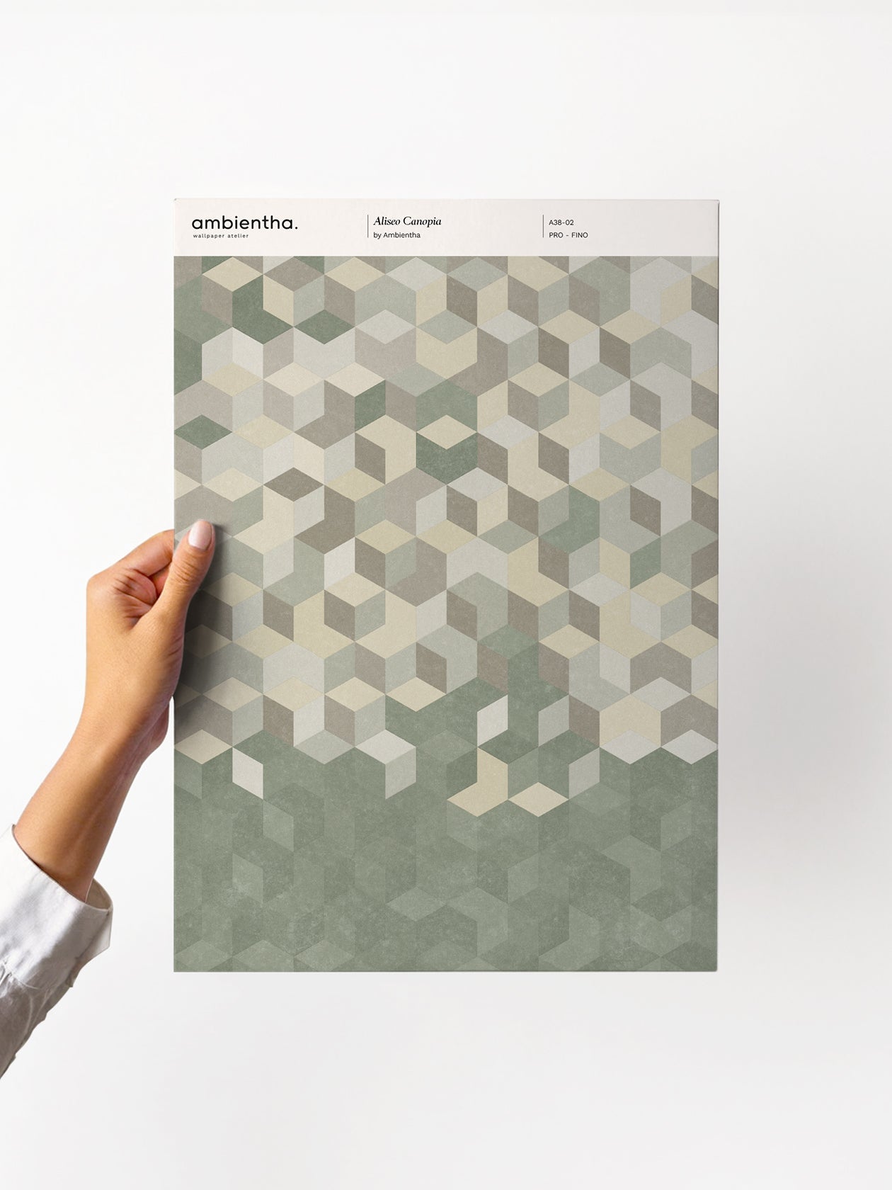 Sample Trade Wind Canopia