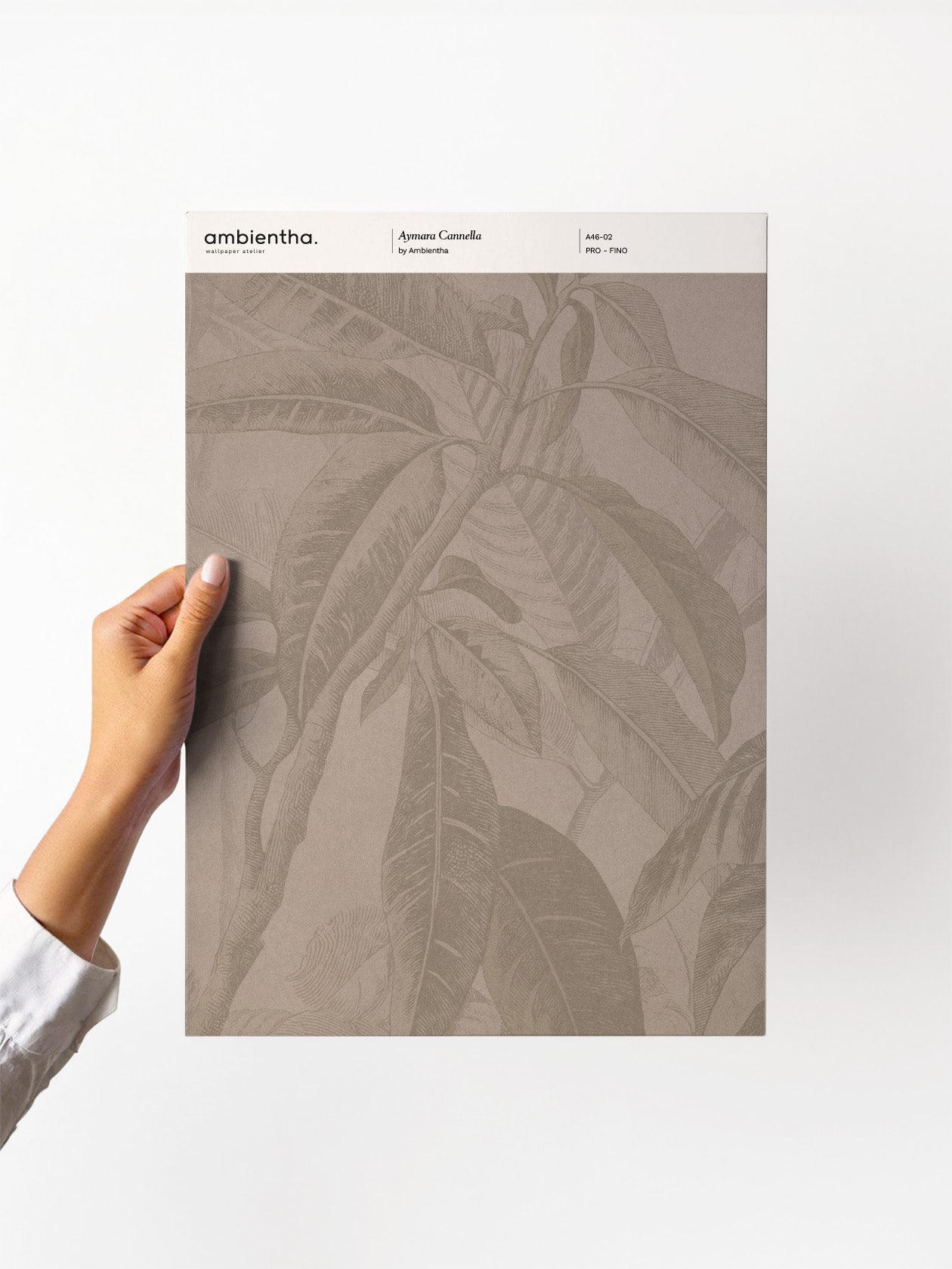 Campione Aymara Cannella