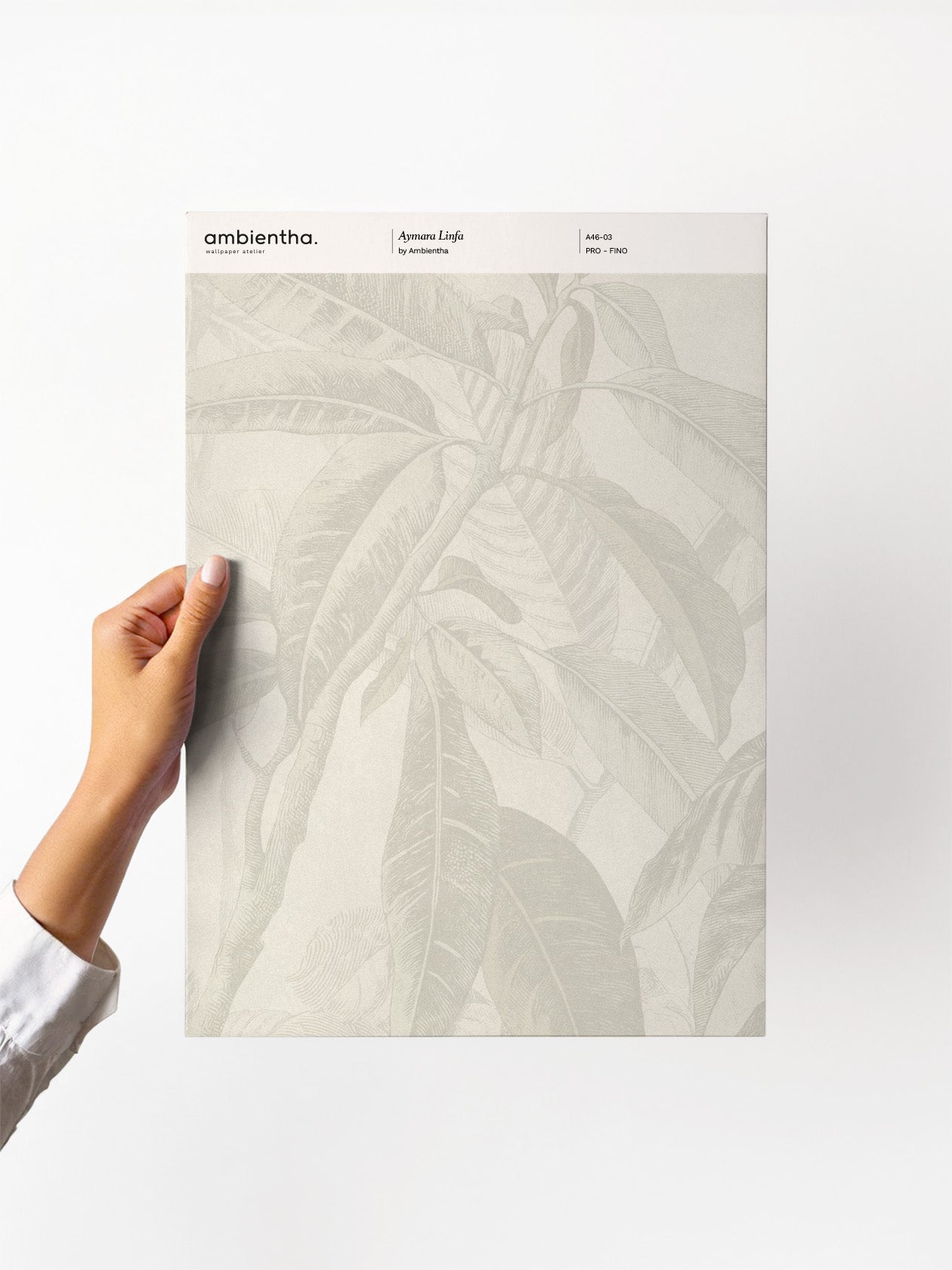 Campione Aymara Linfa