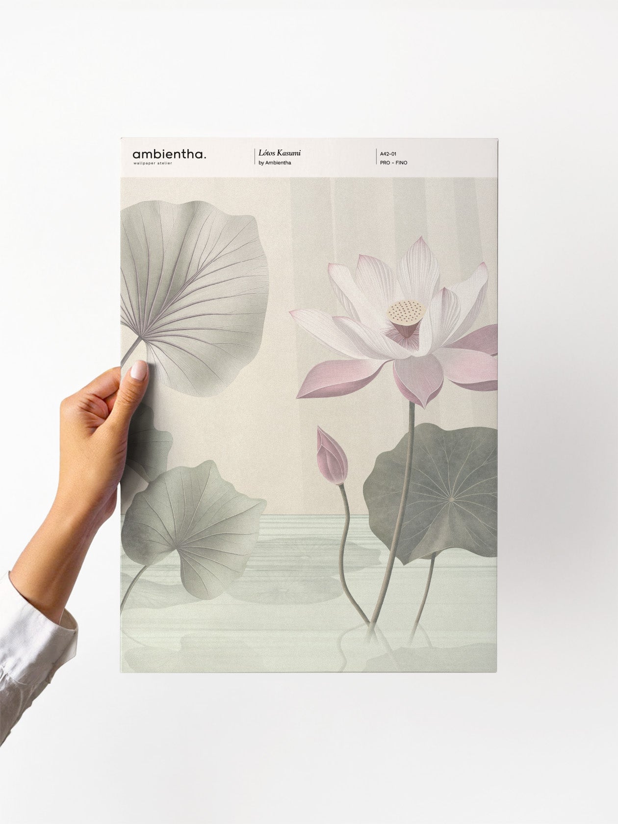 Campione Lótos Kasumi