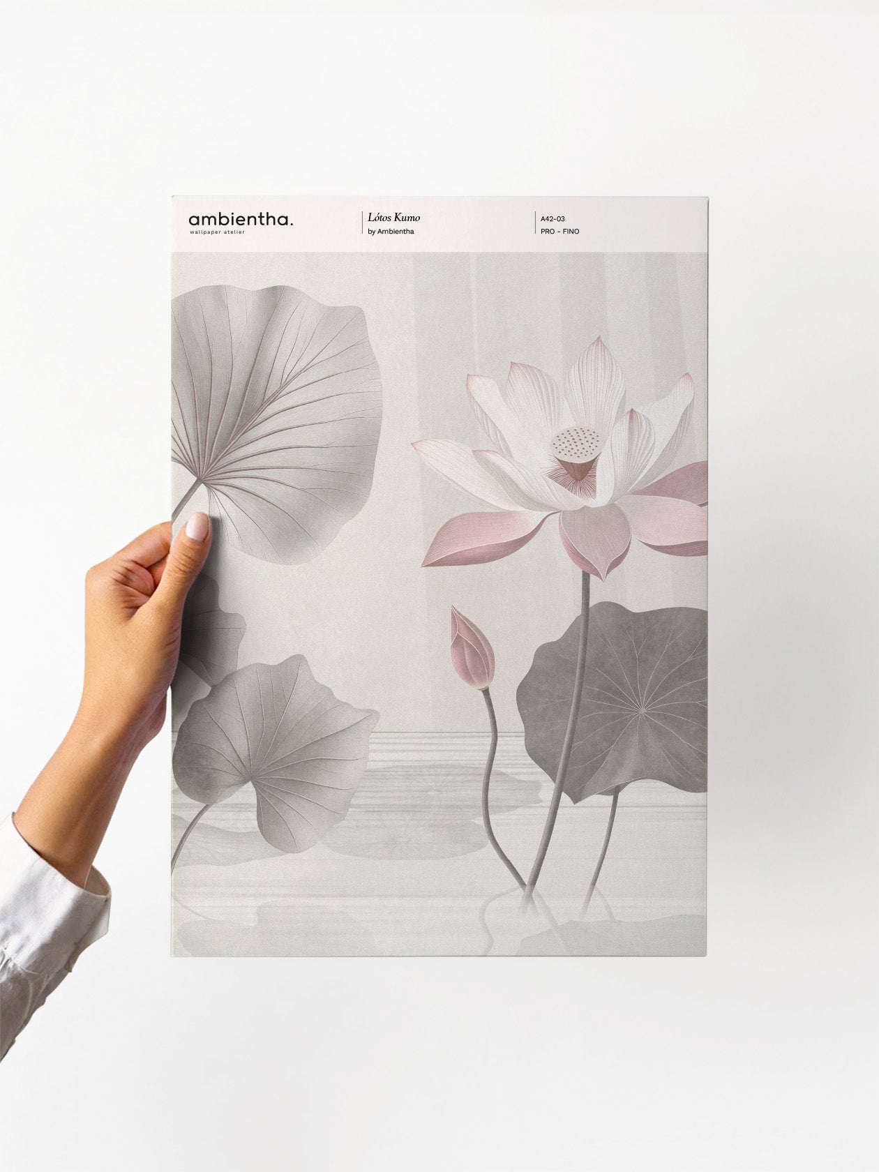 Campione Lótos Kumo