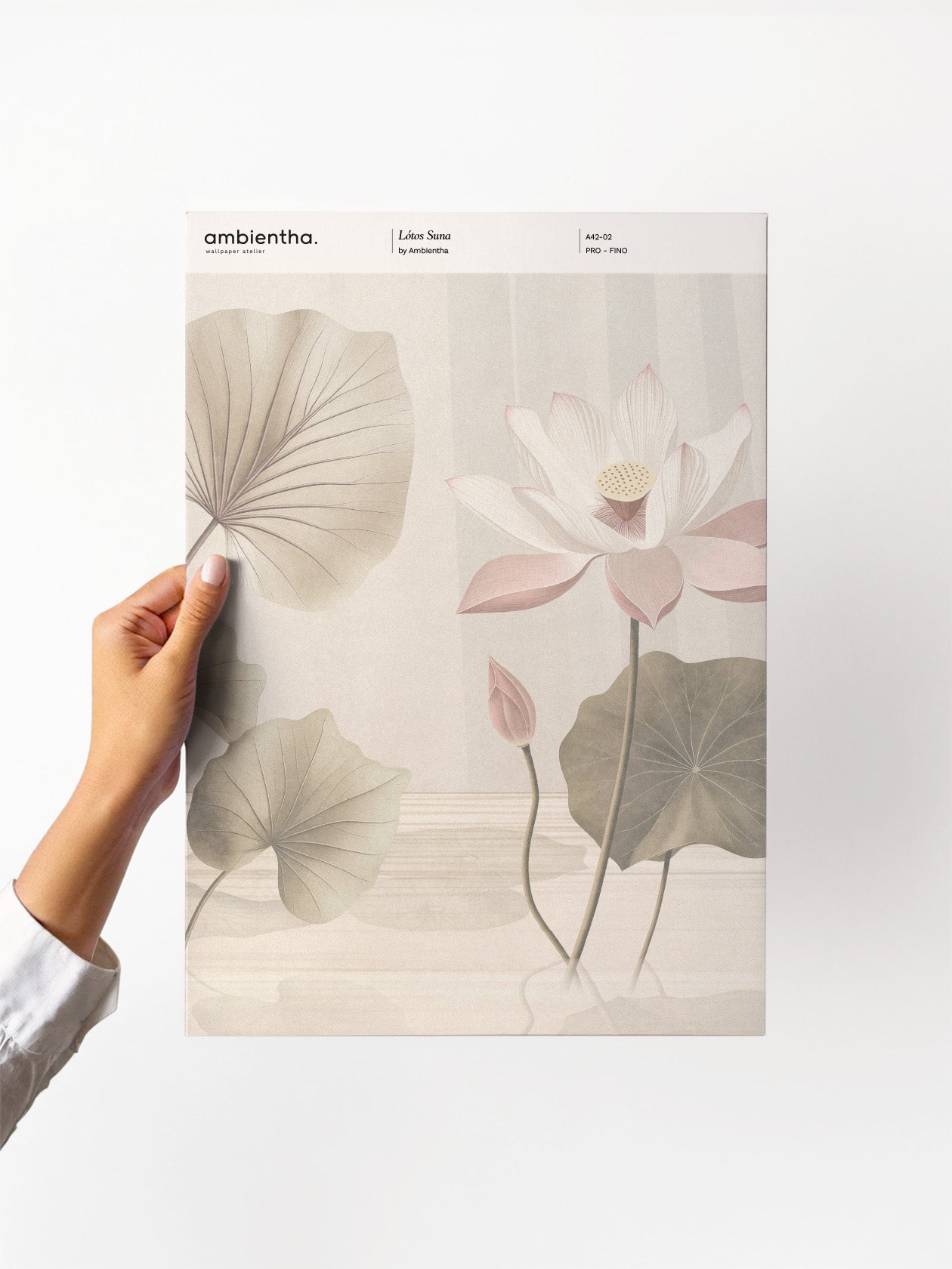 Campione Lótos Suna