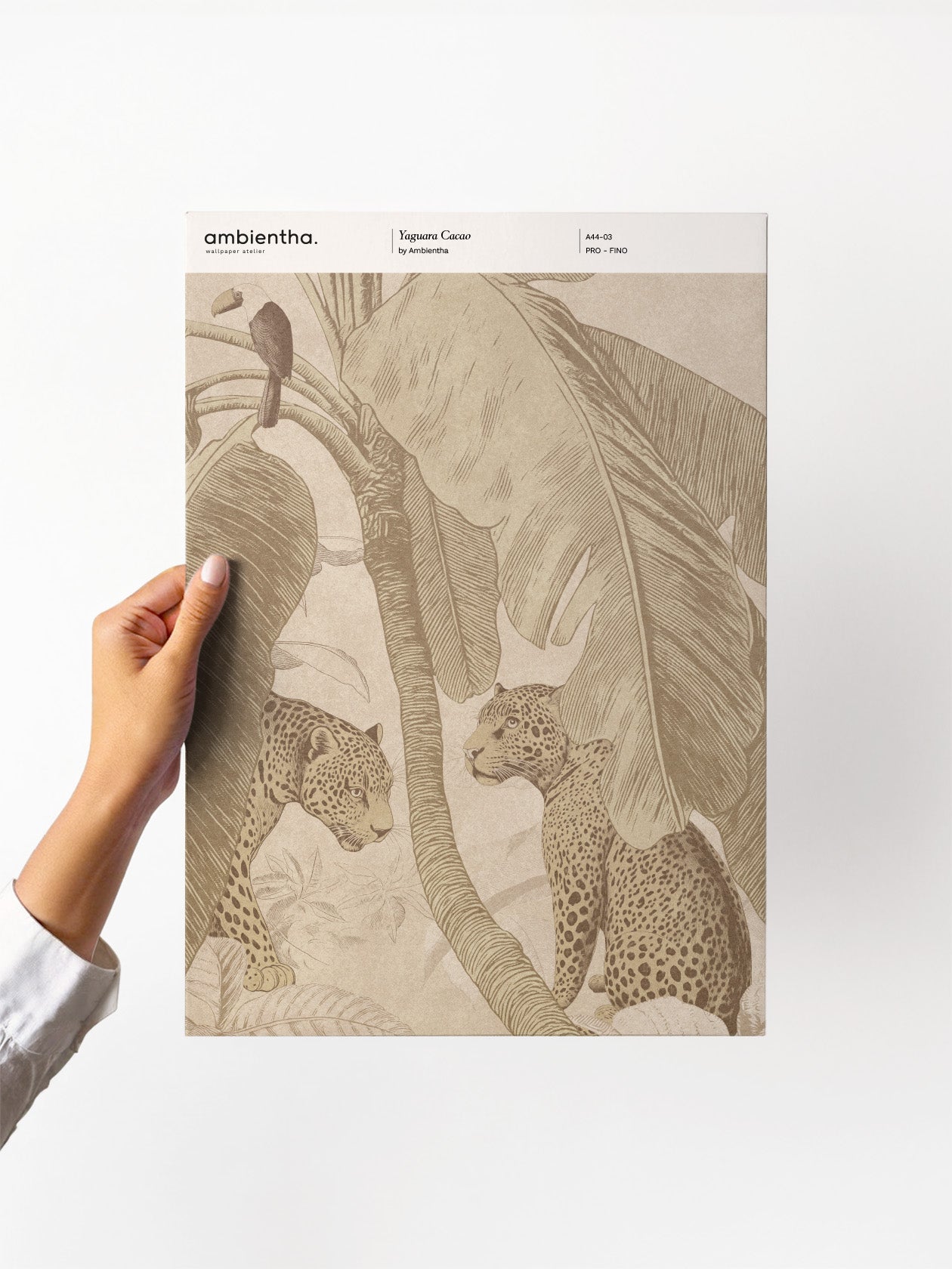 Campione Yaguara Cacao