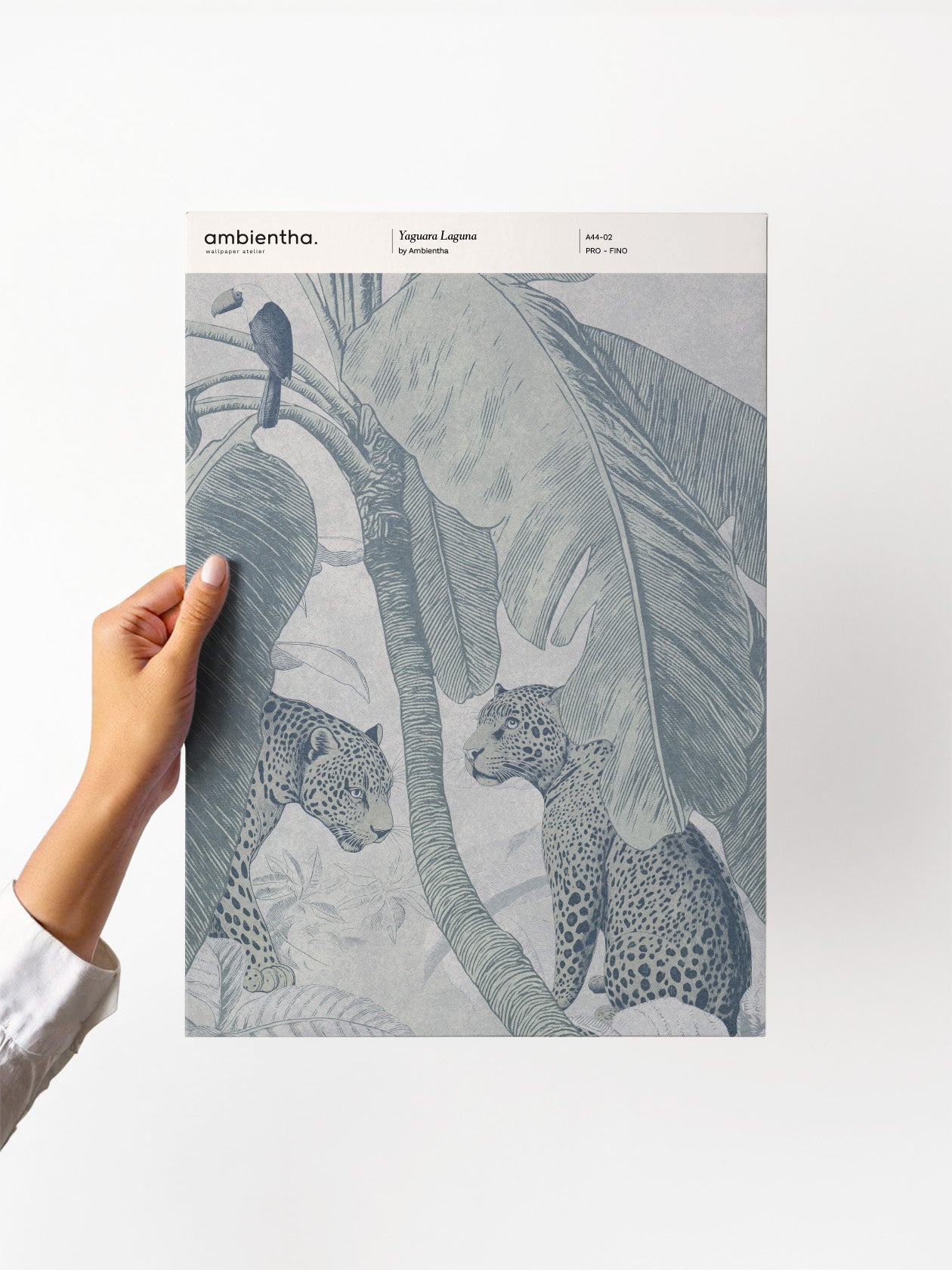 Campione Yaguara Laguna