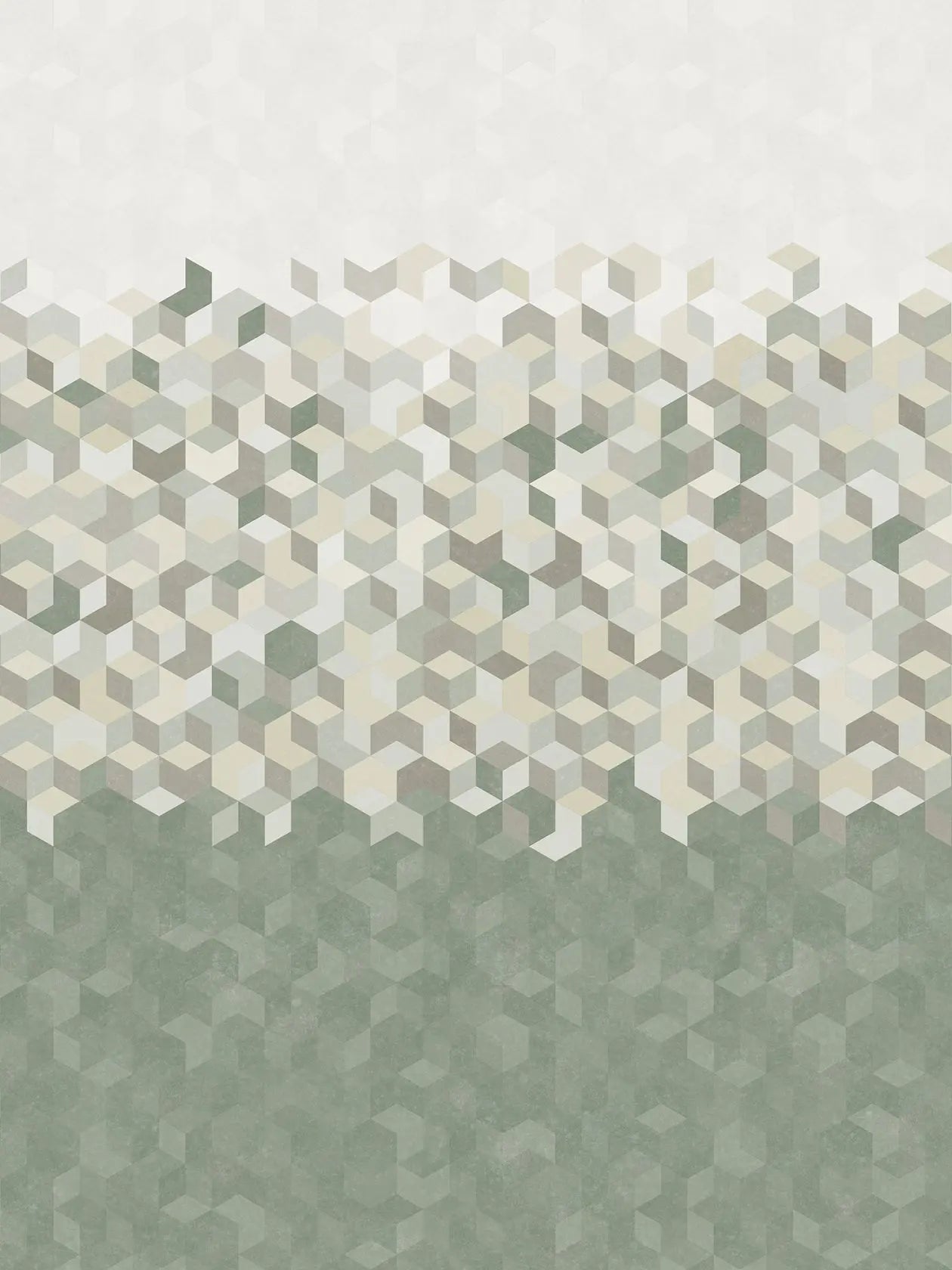 carta da parati Aliseo Canopia