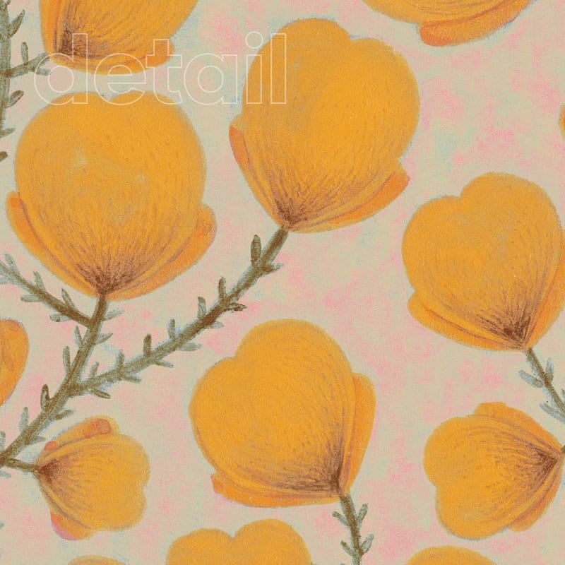 carta da parati country chic