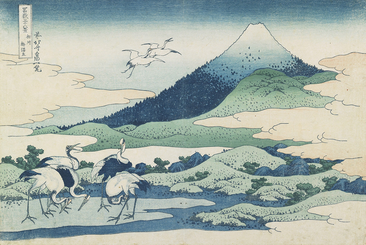 carta da parati hokusai umezawa village