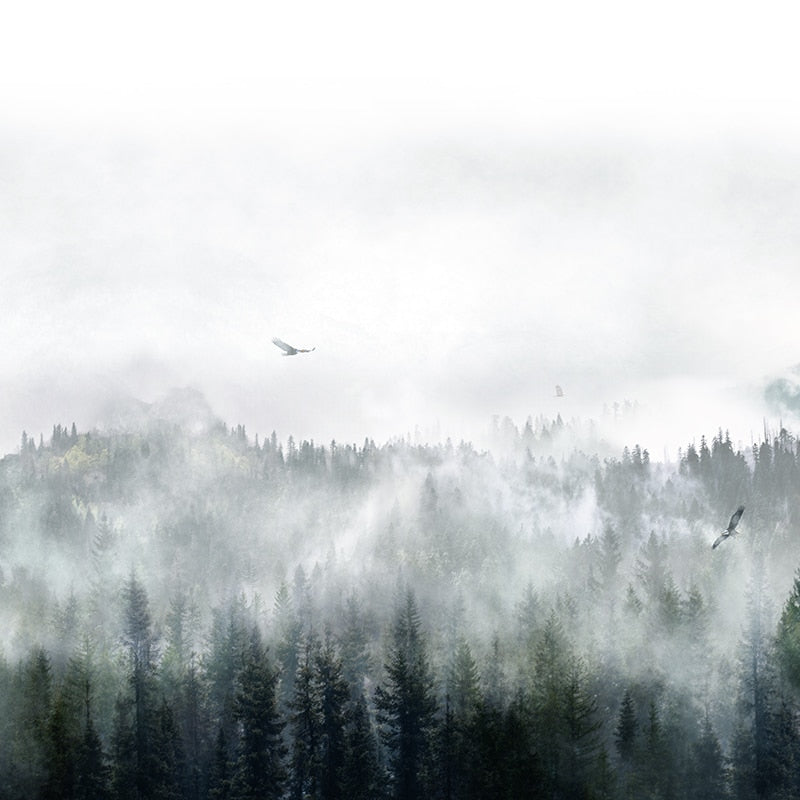 carta da parati montagne eagles storm