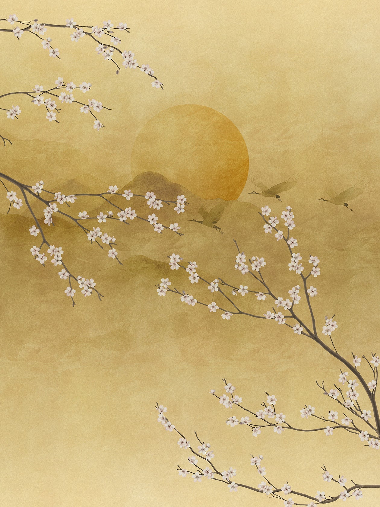 Sakura Kin