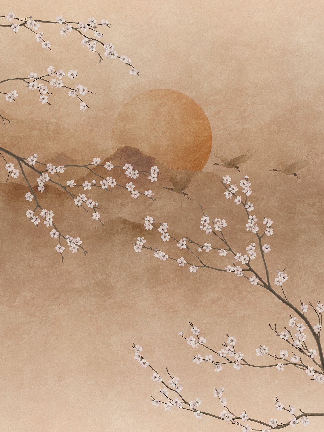 Sakura Yuhi