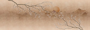 Sakura Yuhi