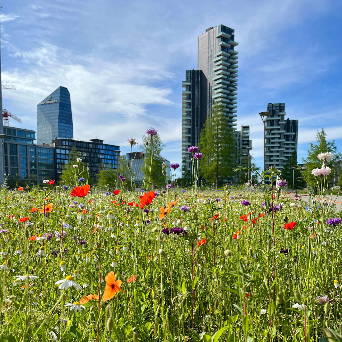 Splende il sole su Milano: il successo del Fuorisalone 2024 per immagini, numeri e parole by Ambientha Image