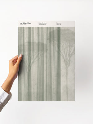 Alida Marittima Sample