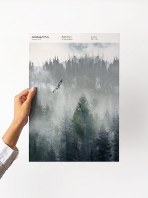 Eagles Storm Sample