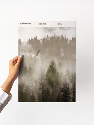 Eagles Sunray Sample