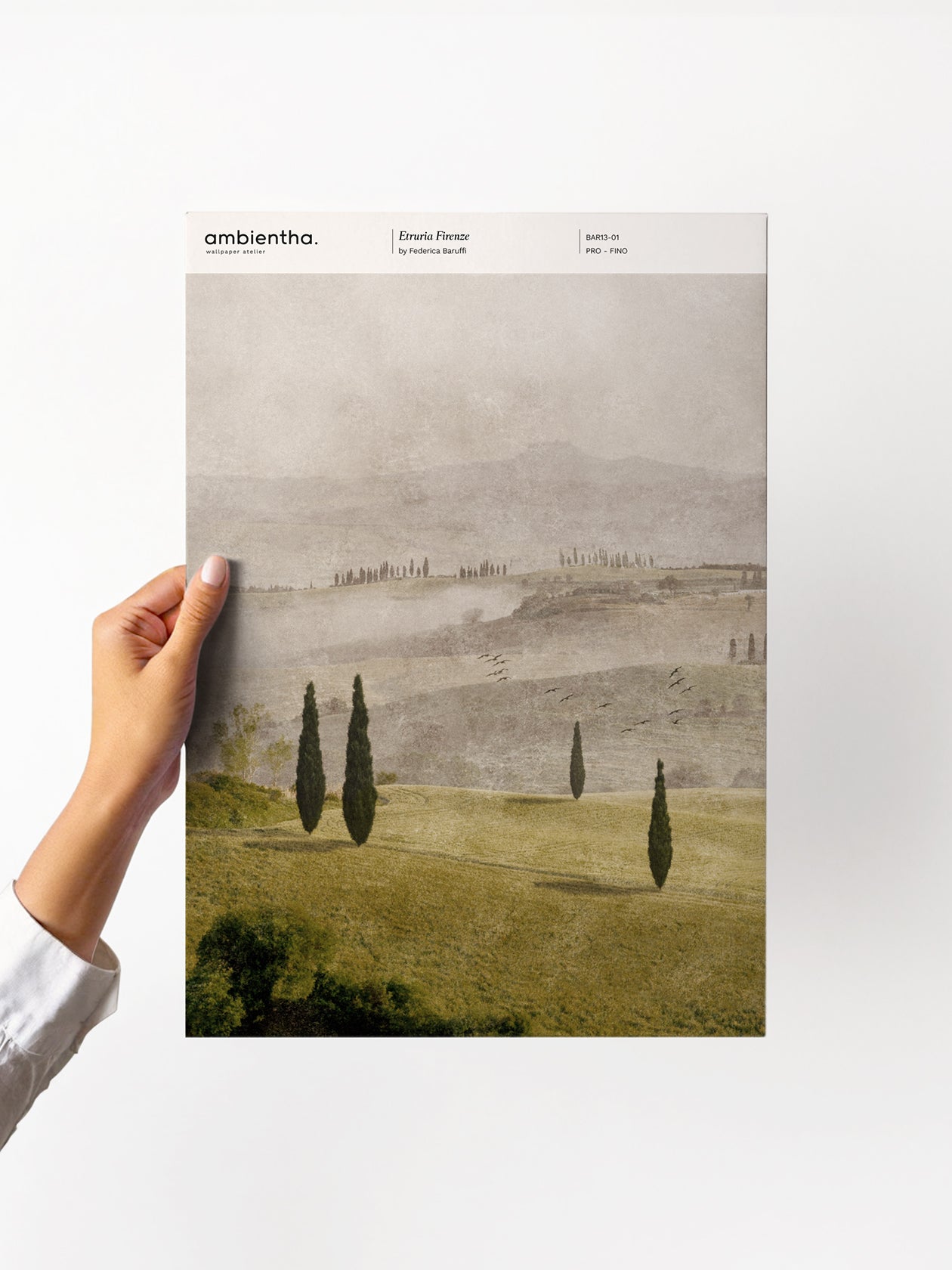 Etruria Firenze Sample