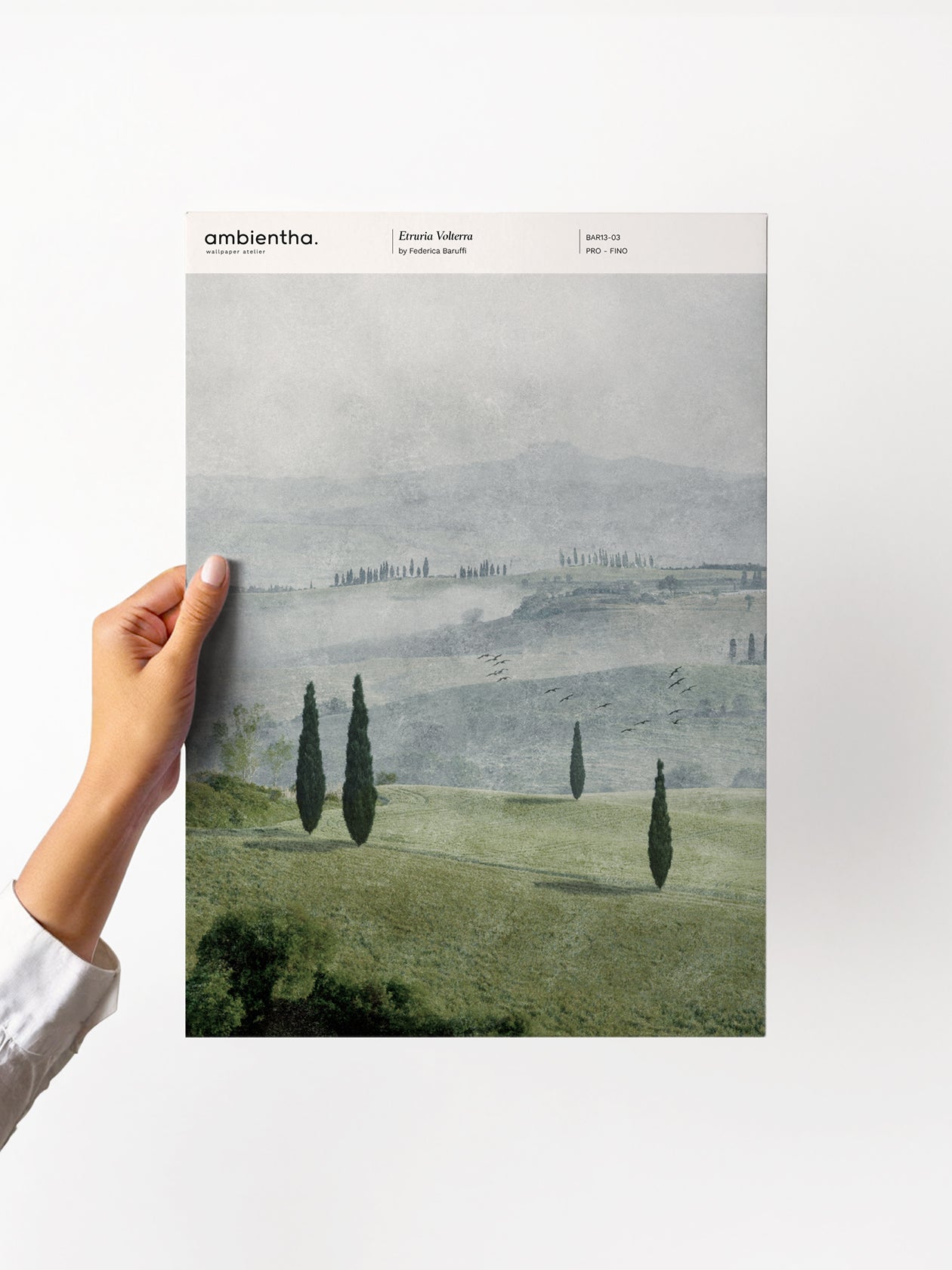 Etruria Volterra Sample