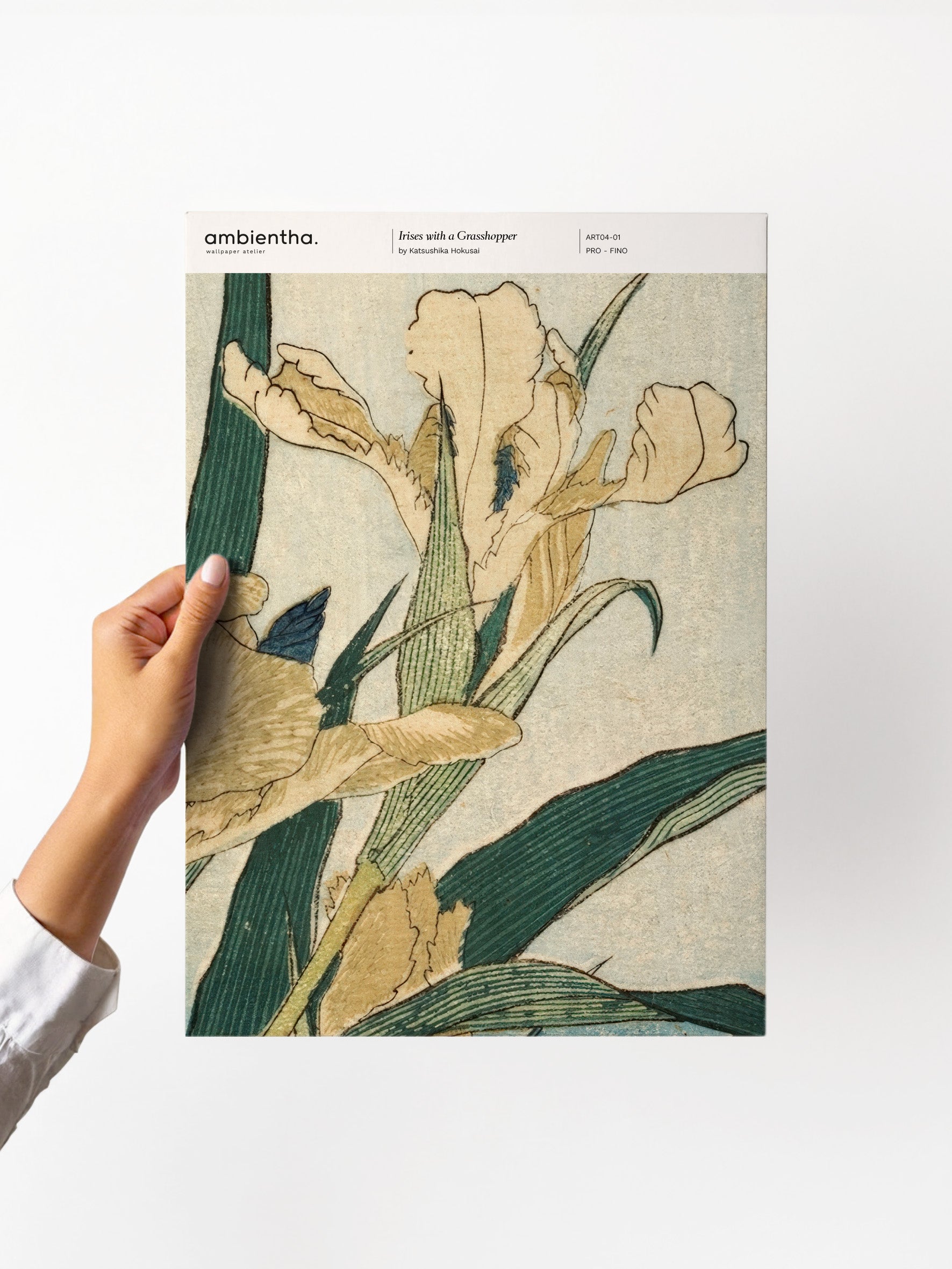Sample Iris with a Grasshopper