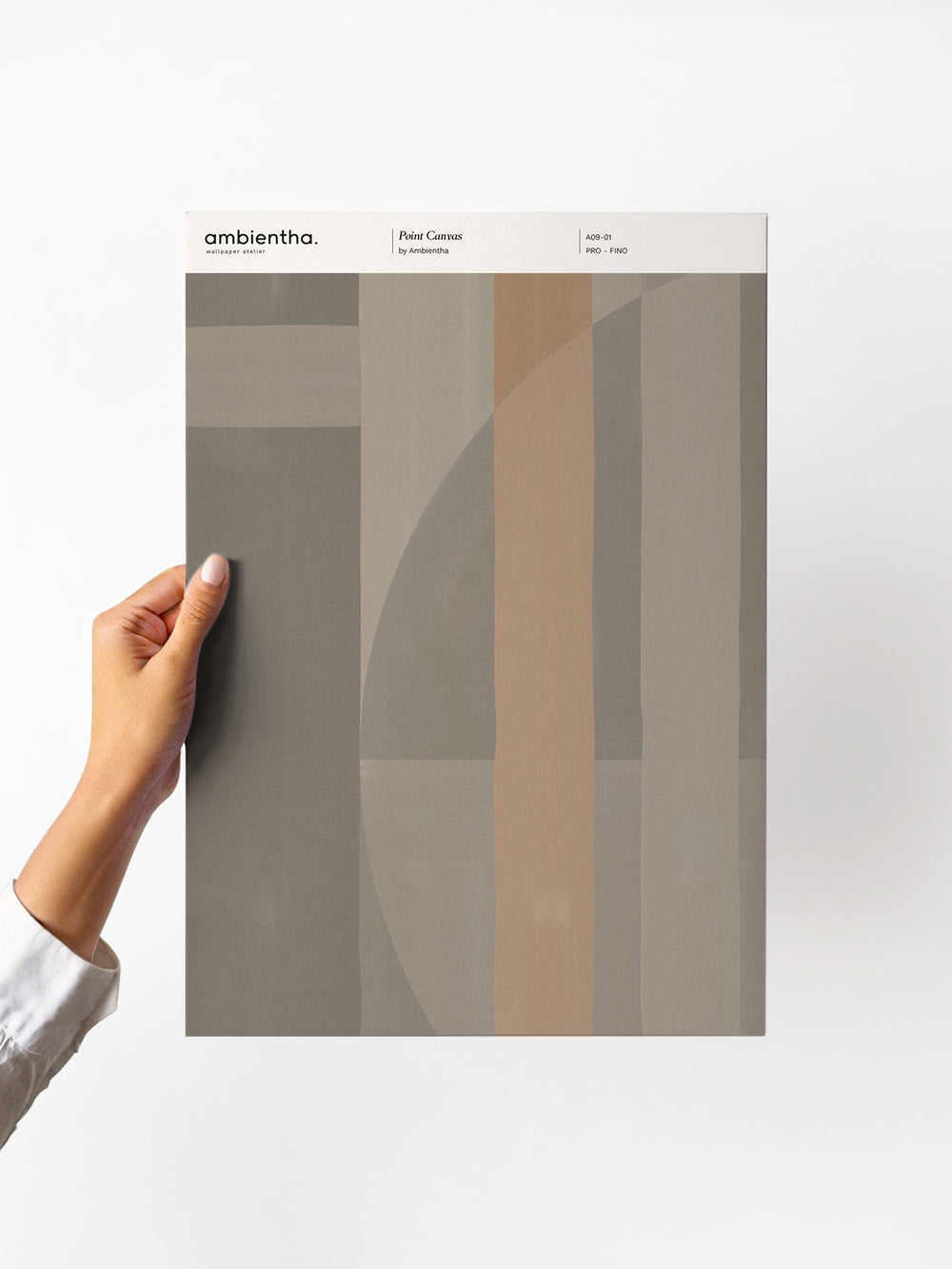 Campione Point Canvas