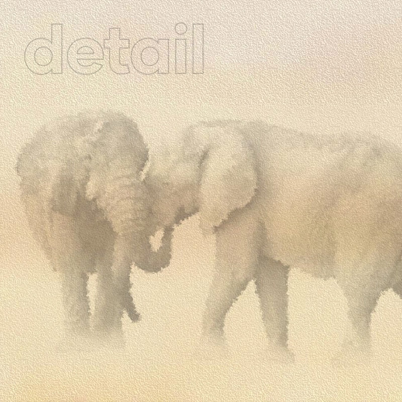 carta da parati savana