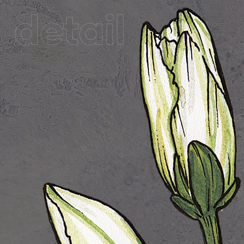 carta da parati fiori grandi lily concrete