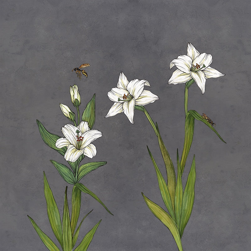 carta da parati fiori grandi lily concrete