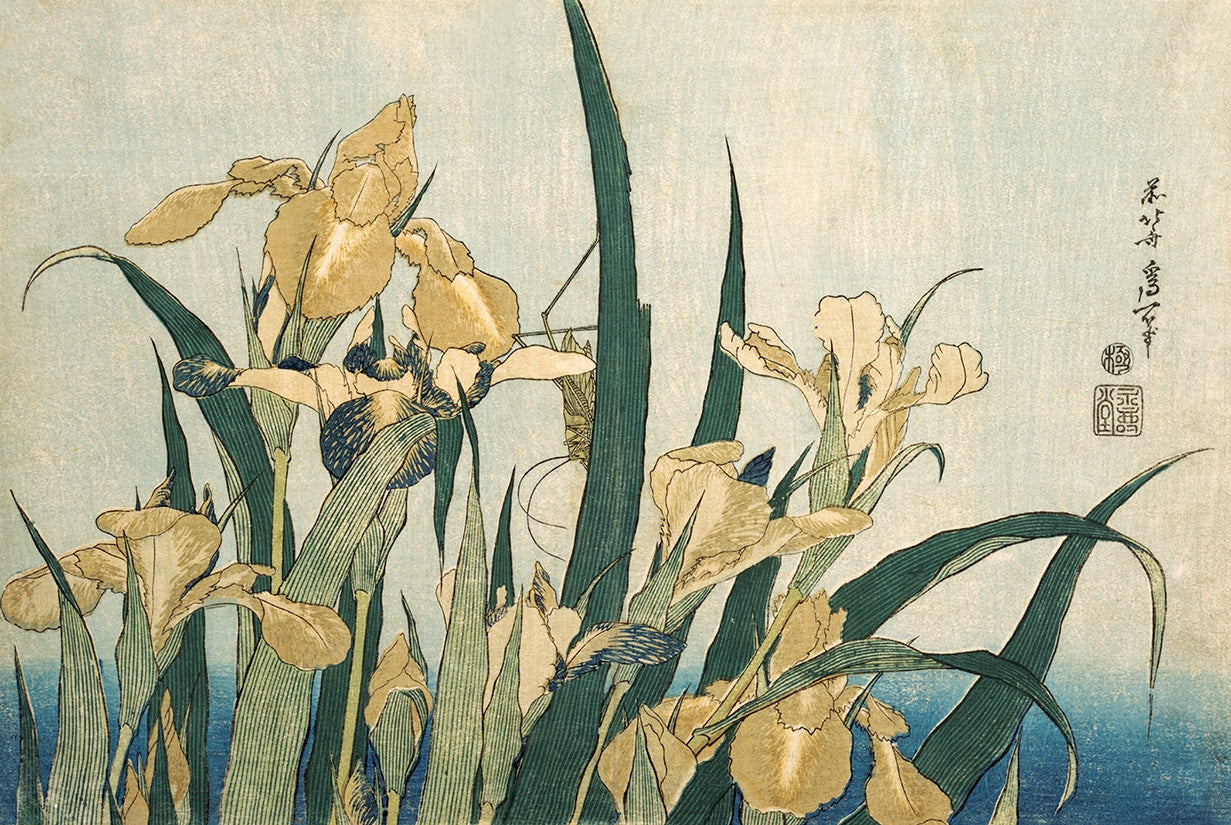 Iris with a Grasshopper