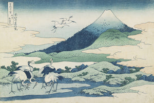 Umezawa Village